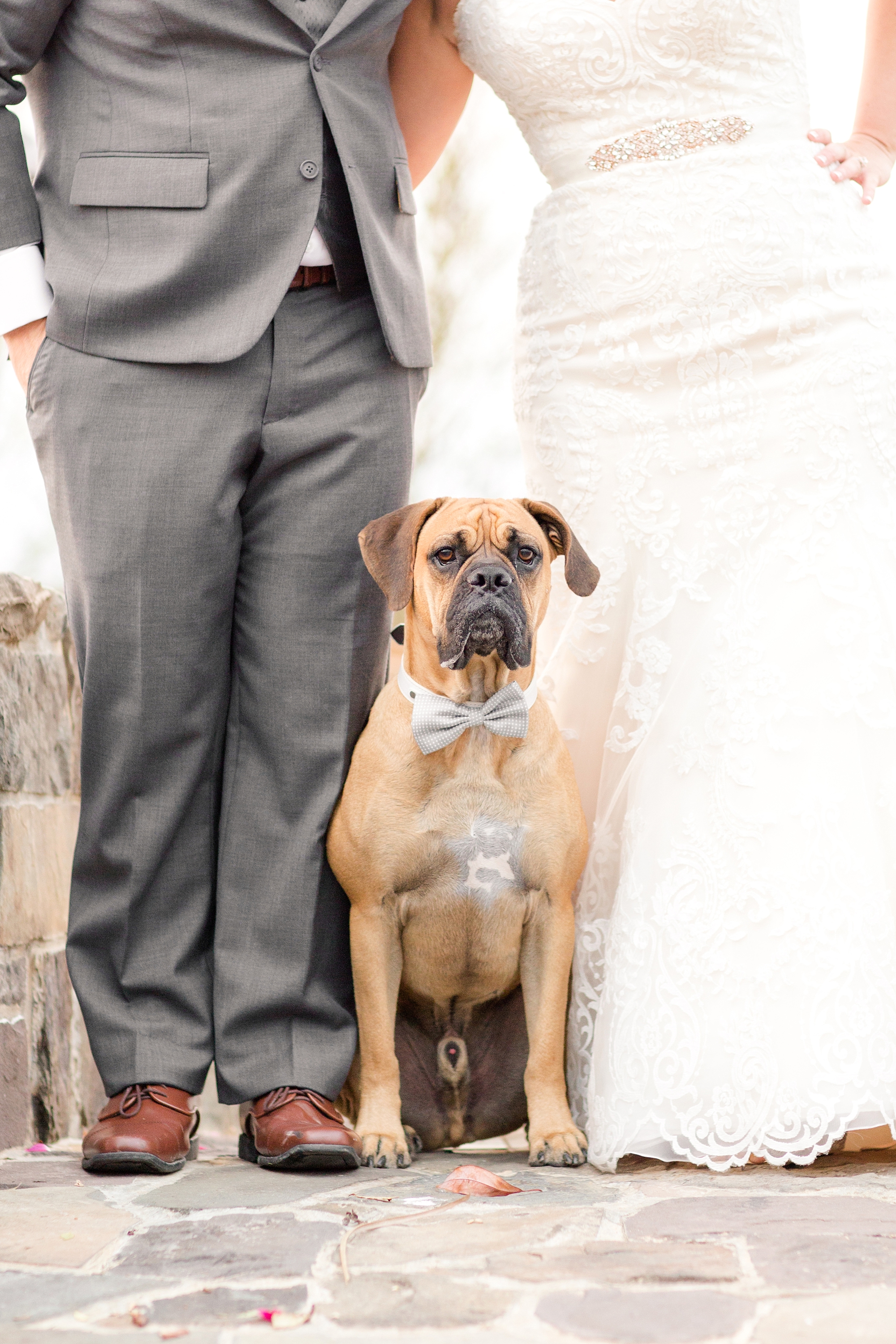  Dexter came to the wedding for a few pictures and it was amazing!! 