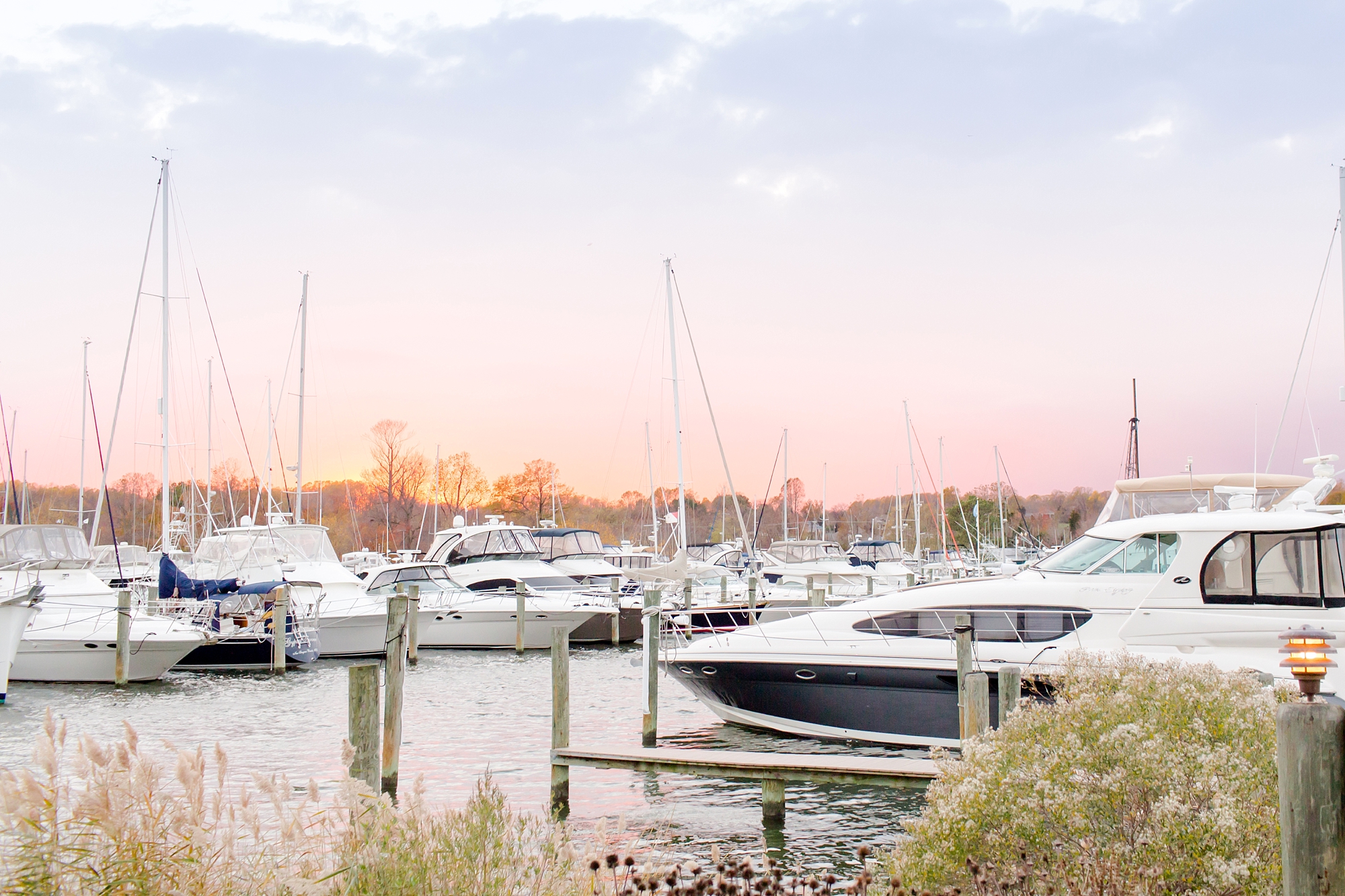 Mankiewicz 8. Reception-959_anna grace photography annapolis maryland wedding photographer herrington on the bay wedding photo.jpg