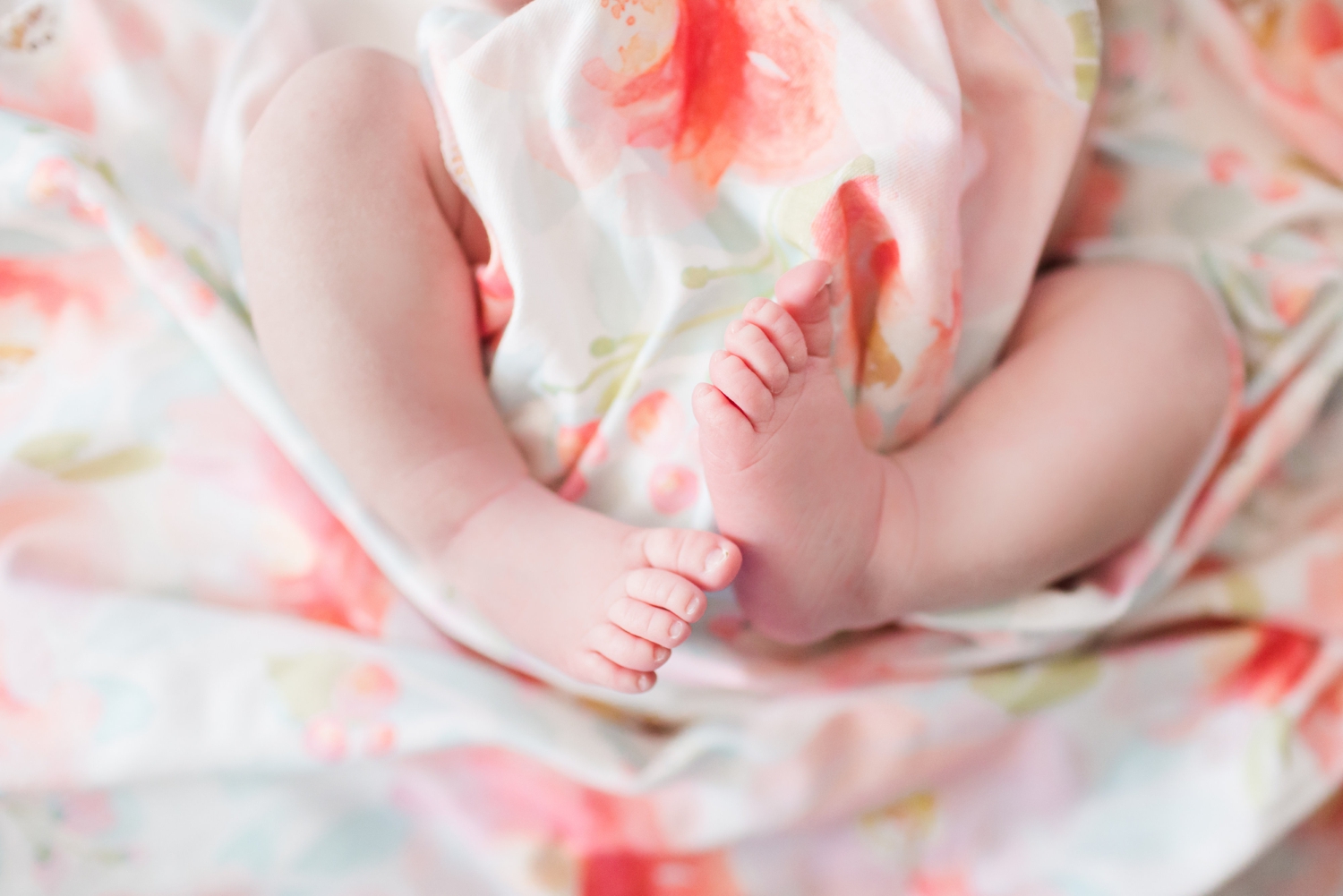 Payton Newborn-0069_anna grace photography baltimore maryland newborn photographer photo.jpg