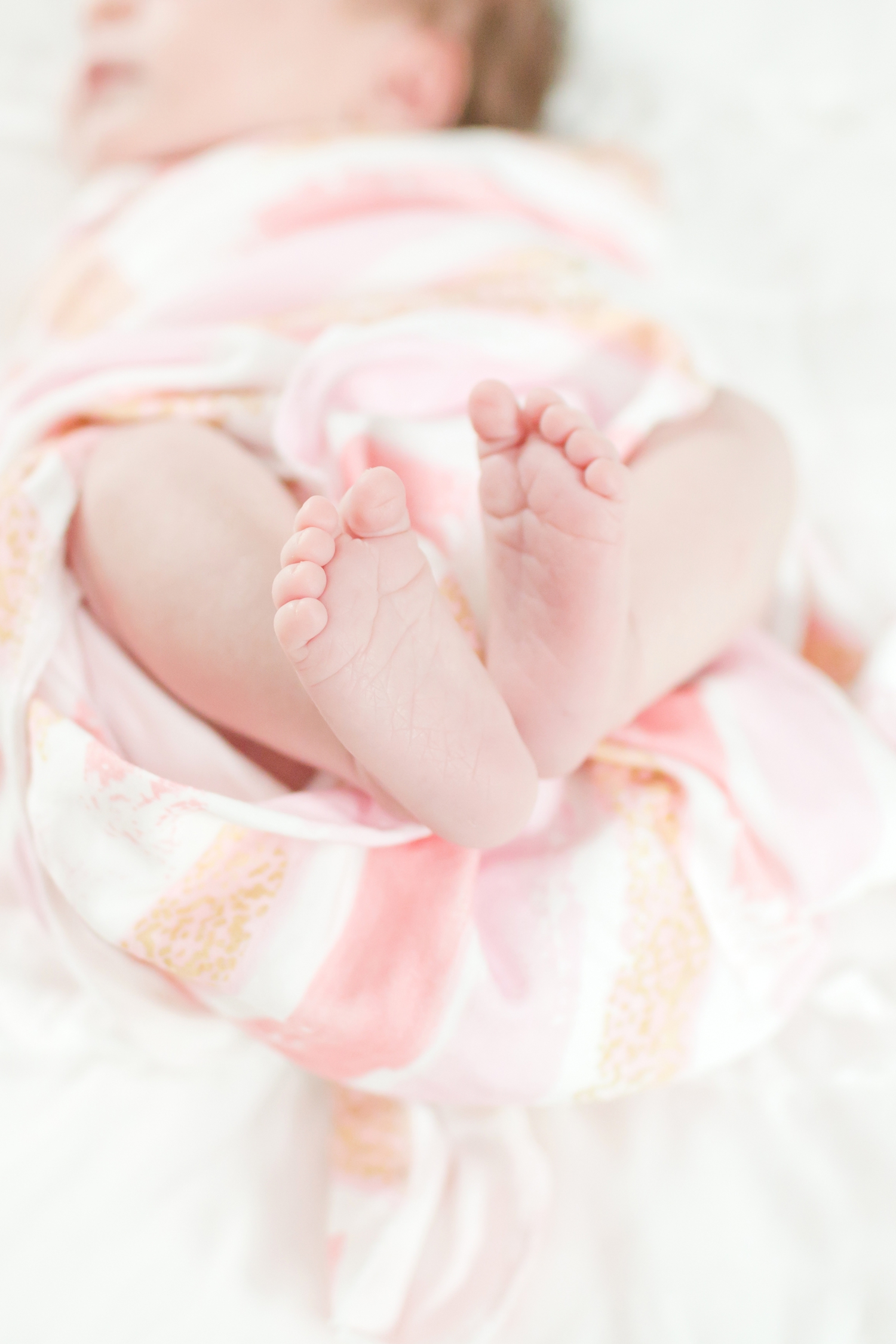 Miano Newborn-117_anna grace photography newborn photography baltimore maryland newborn and family photographer photo.jpg