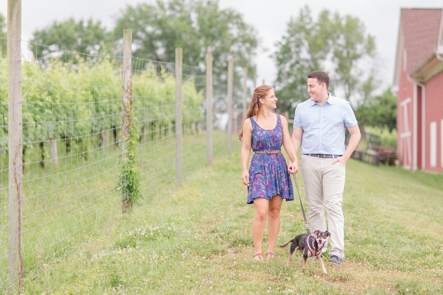 Colin & Kelsey Engagement-74_anna grace photography sunset hills vineyard engagement photography virginia wedding and engagement photographer photo.jpg