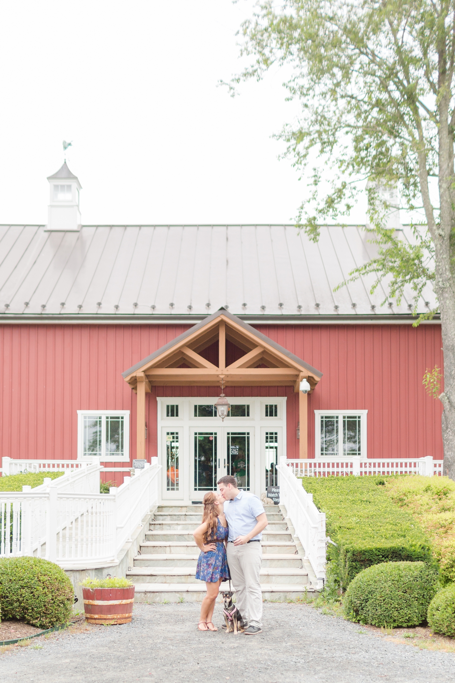 Colin & Kelsey Engagement-144_anna grace photography sunset hills vineyard engagement photography virginia wedding and engagement photographer photo.jpg