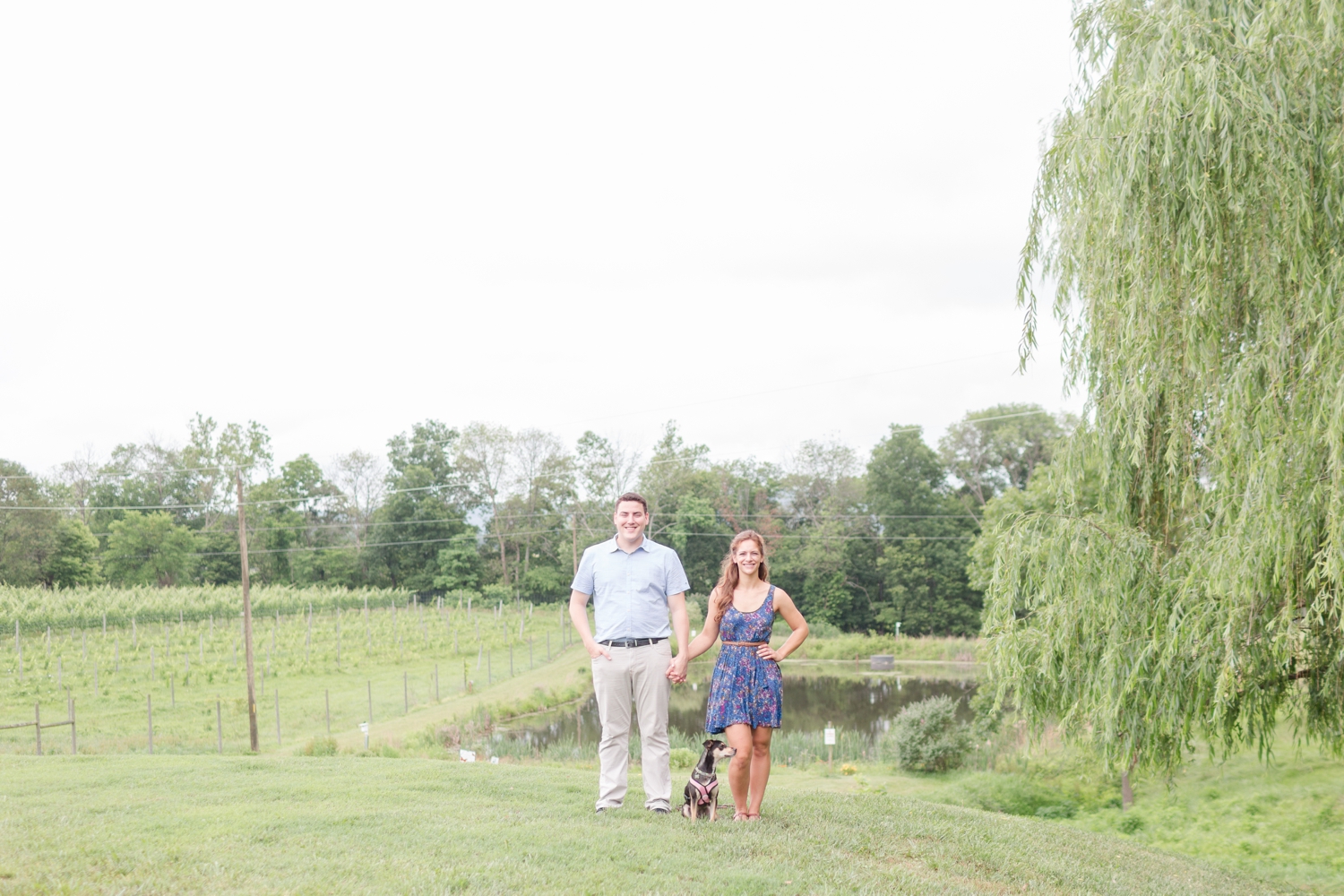 Colin & Kelsey Engagement-156_anna grace photography sunset hills vineyard engagement photography virginia wedding and engagement photographer photo.jpg