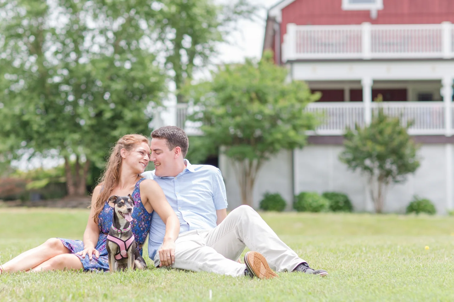 Colin & Kelsey Engagement-247_anna grace photography sunset hills vineyard engagement photography virginia wedding and engagement photographer photo.jpg