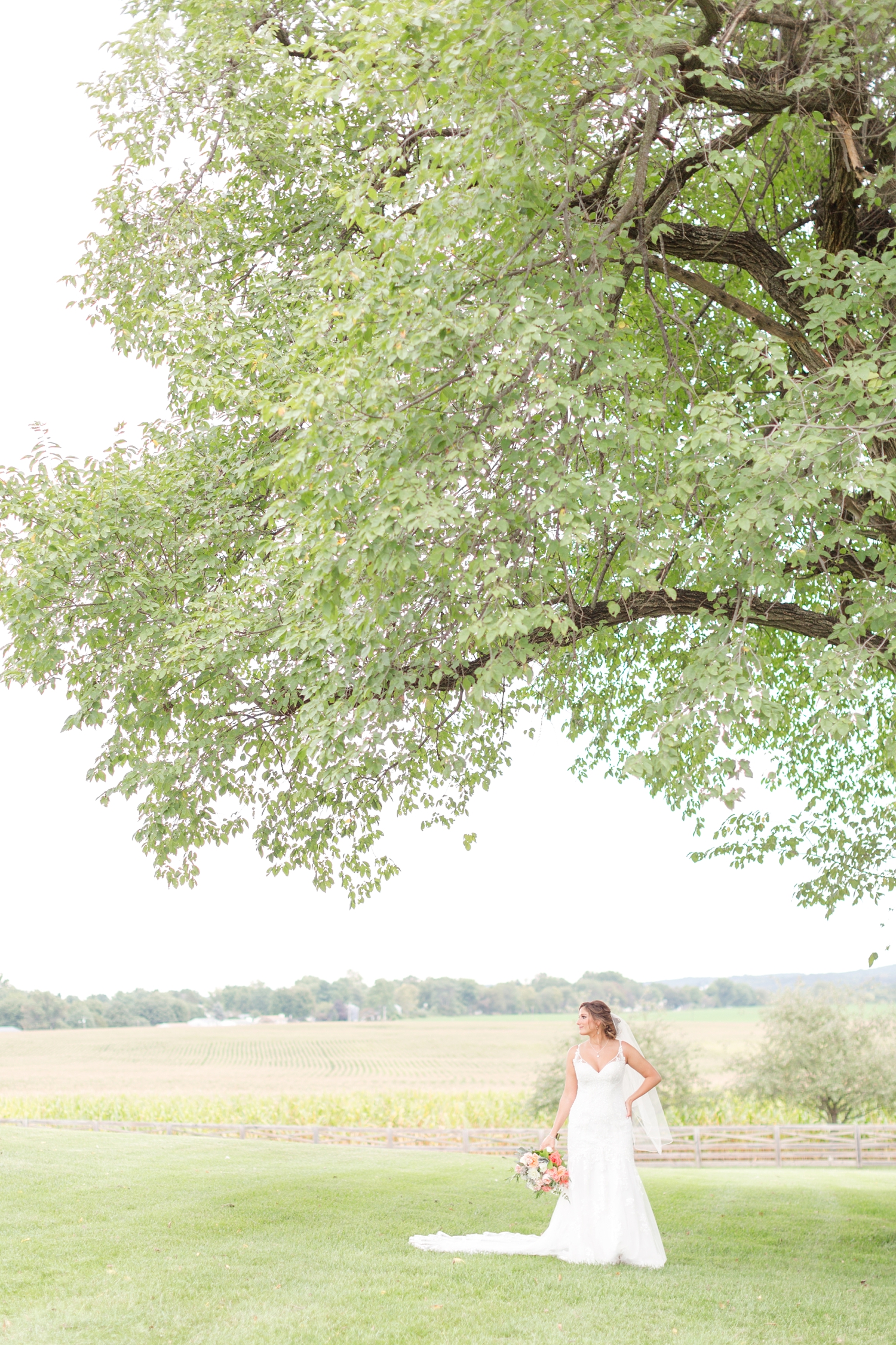 ANDRE WEDDING HIGHLIGHTS-226_walkers-overlook-wedding-walkersville-maryland-wedding-anna-grace-photography-photo.jpg