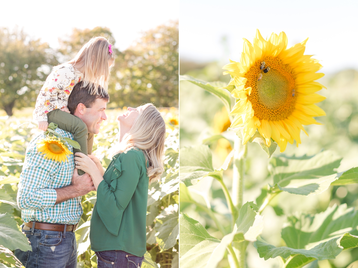 Ryan Family 2017-81_hunt-valley-maryland-family-photographer-anna-grace-photography-photo.jpg