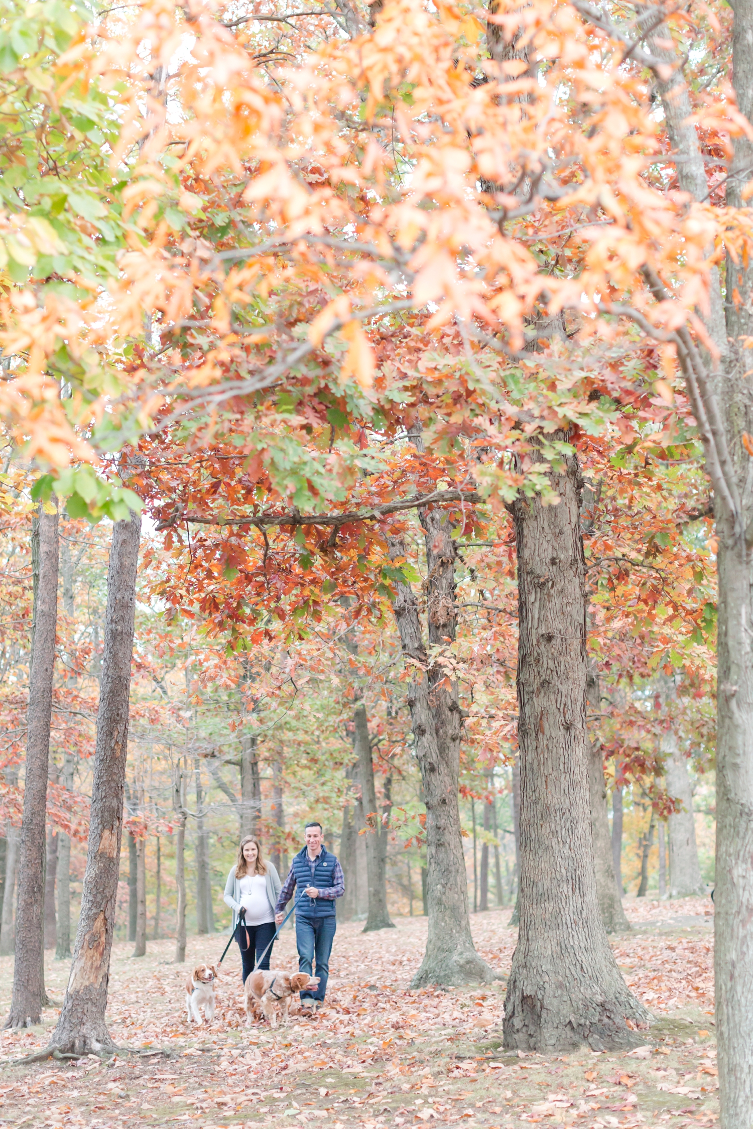 Meg and Paul Maternity-305_dc-arboretum-virginia-maternity-photography-anna-grace-photography-photo.jpg