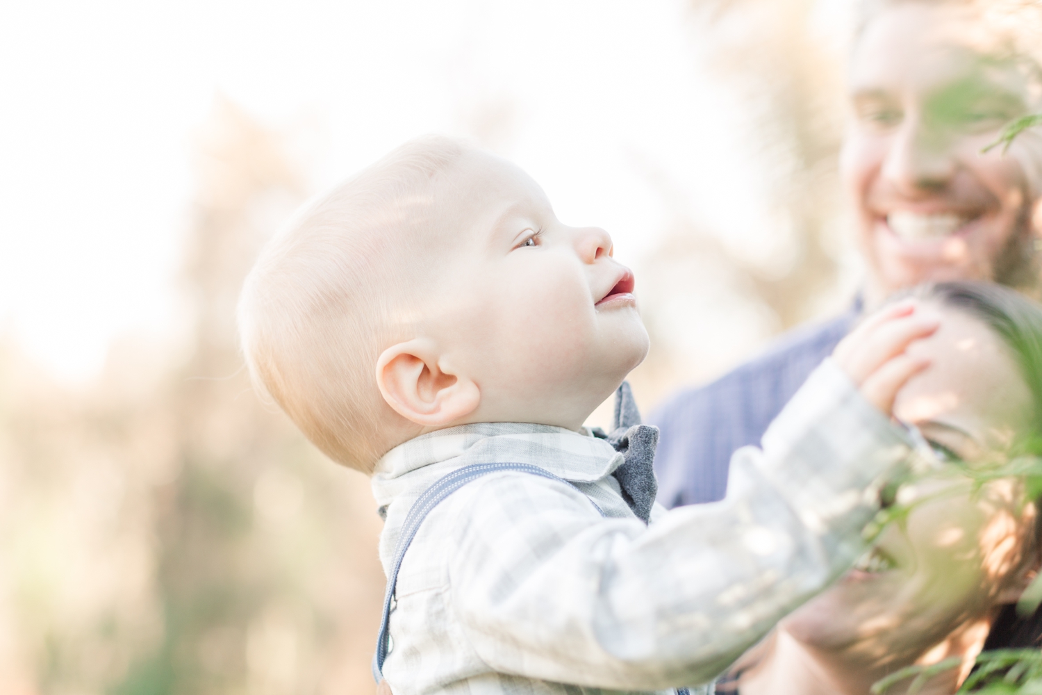  He loved looking at the trees! 