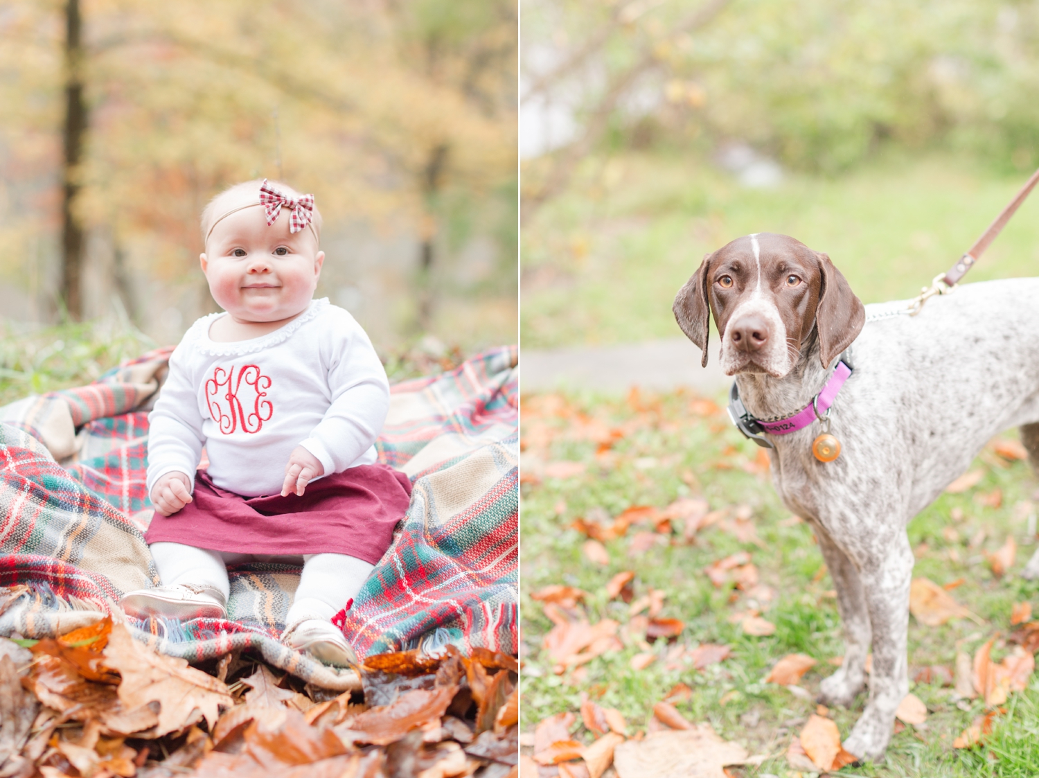 Robertson Family-179_lake-roland-baltimore-maryland-family-photography-anna-grace-photography-photo.jpg