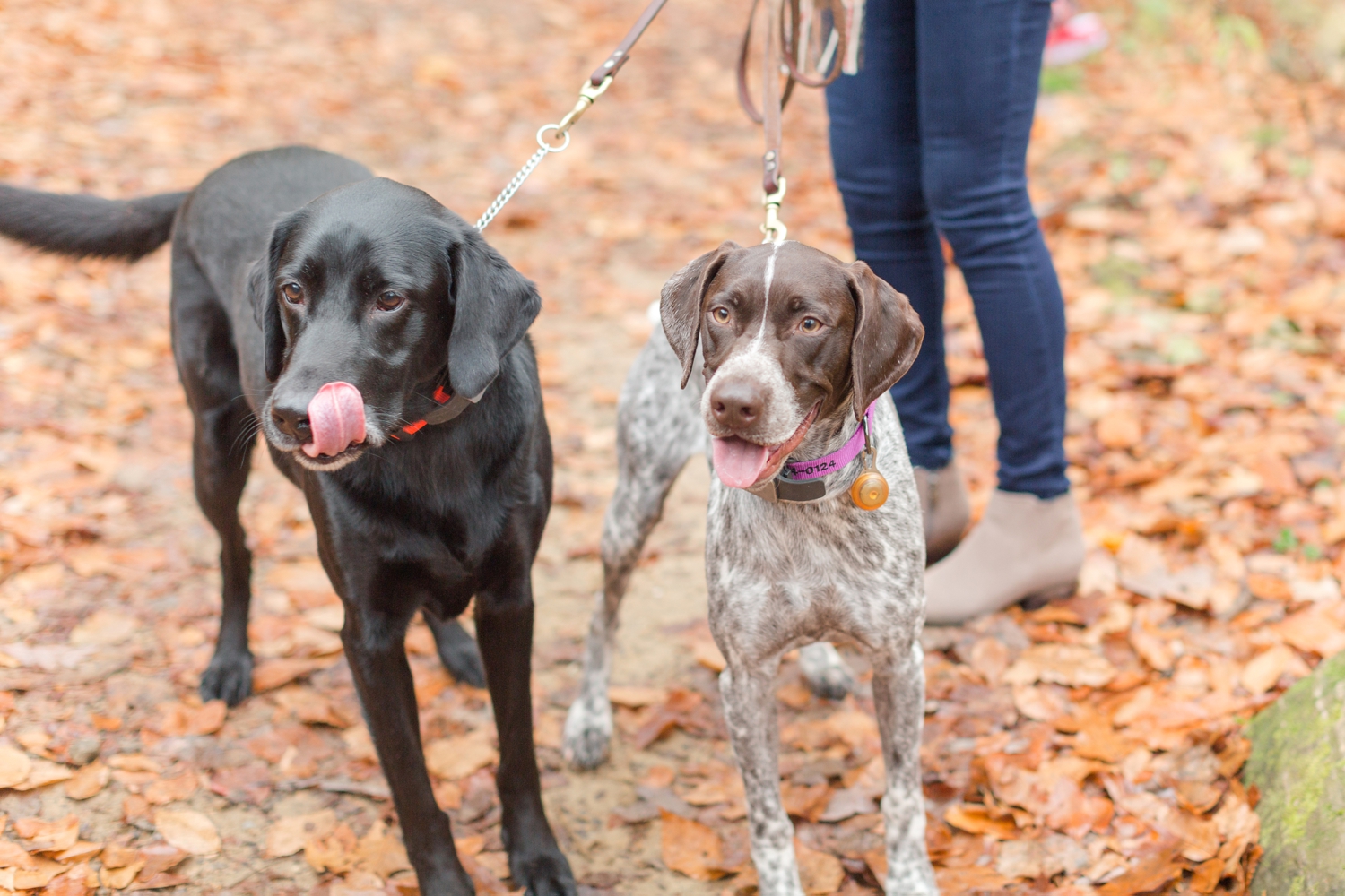 Robertson Family-266_lake-roland-baltimore-maryland-family-photography-anna-grace-photography-photo.jpg