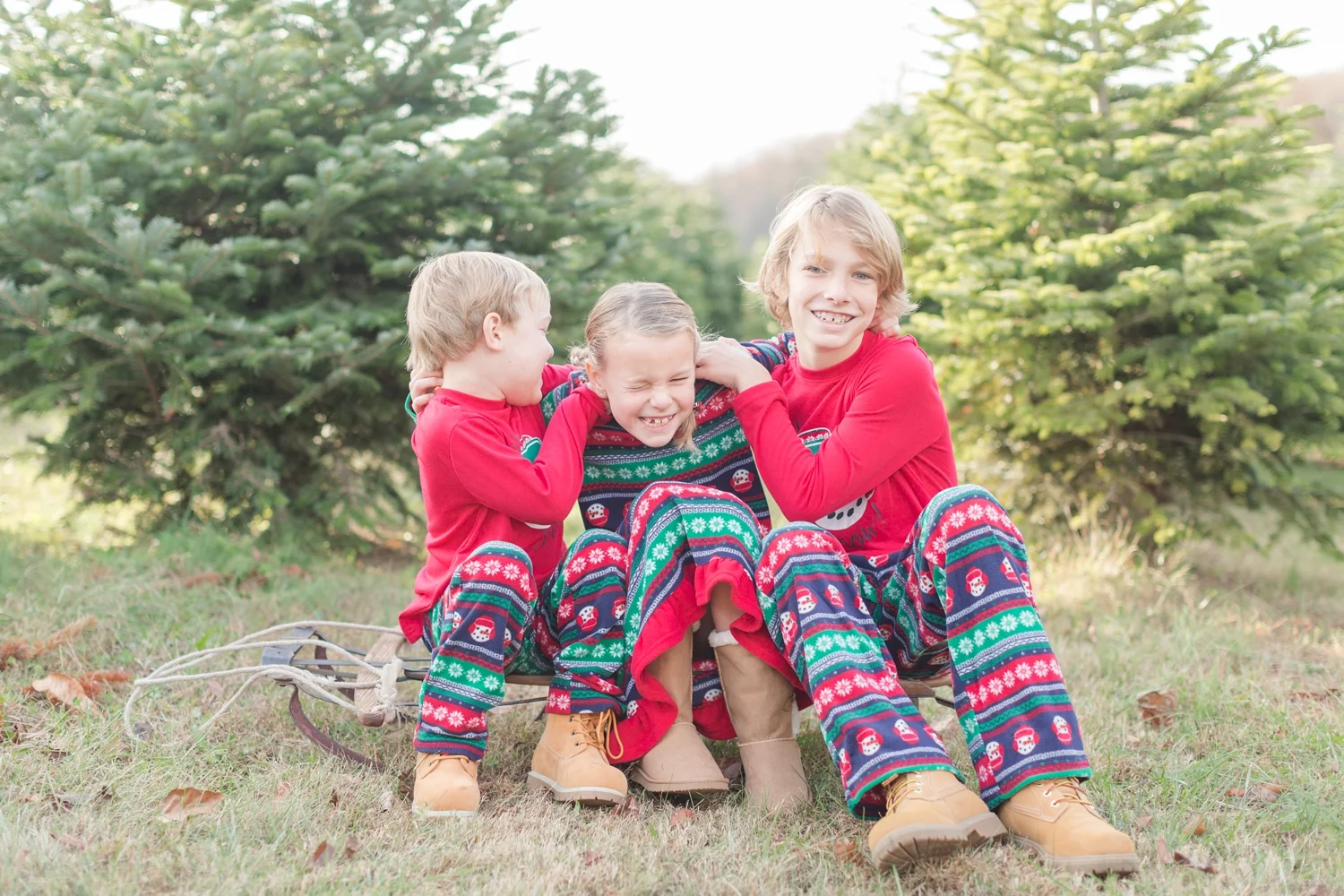 Golembiesky Family 2017 Ruhl S Tree Farm In Phoenix Md Anna Grace Photography