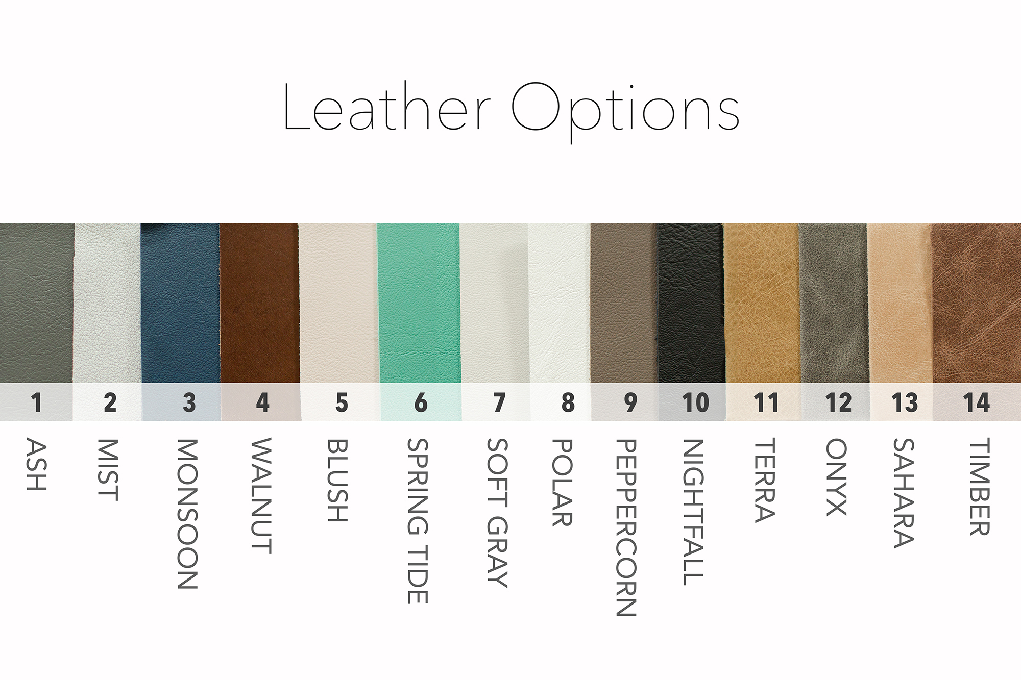 Leather Options 2.jpg