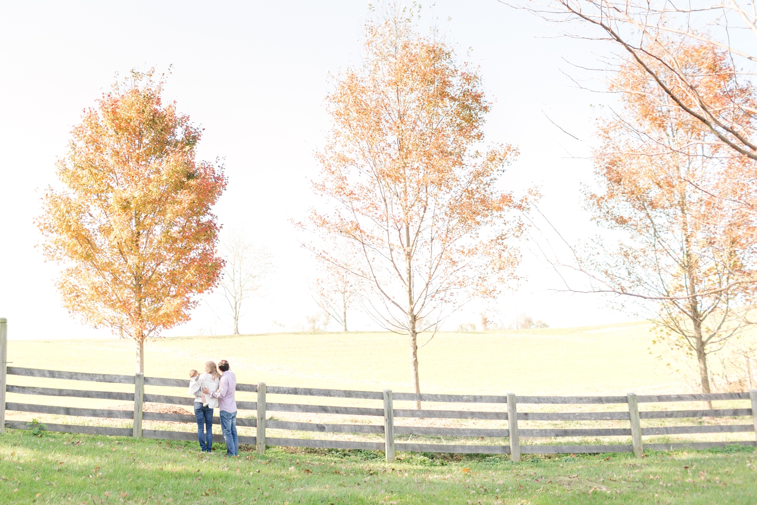 Weltchek Family-201_maryland-and-virginia-family-maternity-newborn-photographer-anna-grace-photography-photo.jpg