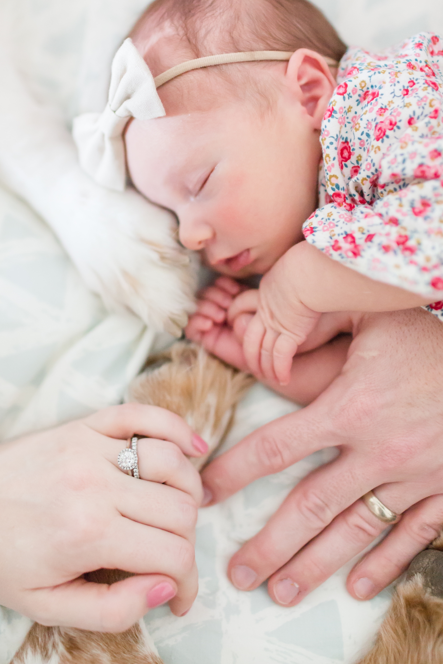 Martin Newborn-294_maryland-virginia-alexandria-newborn-photographer-anna-grace-photography-photo.jpg