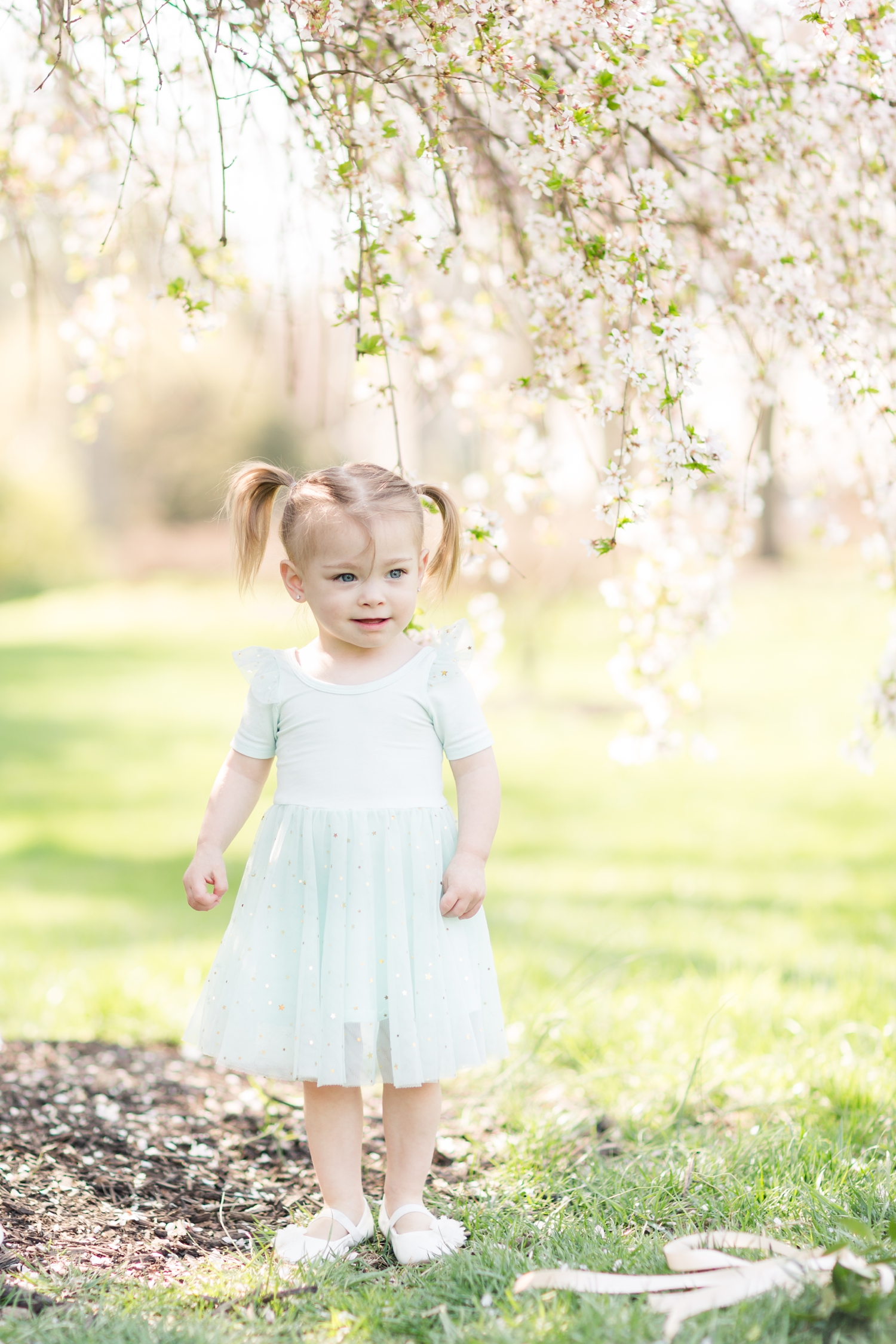 Deuber-Fouts GIrls-76_baltimore-maryland-family-photographer-sherwood-gardens-family-photos-anna-grace-photography-photo.jpg