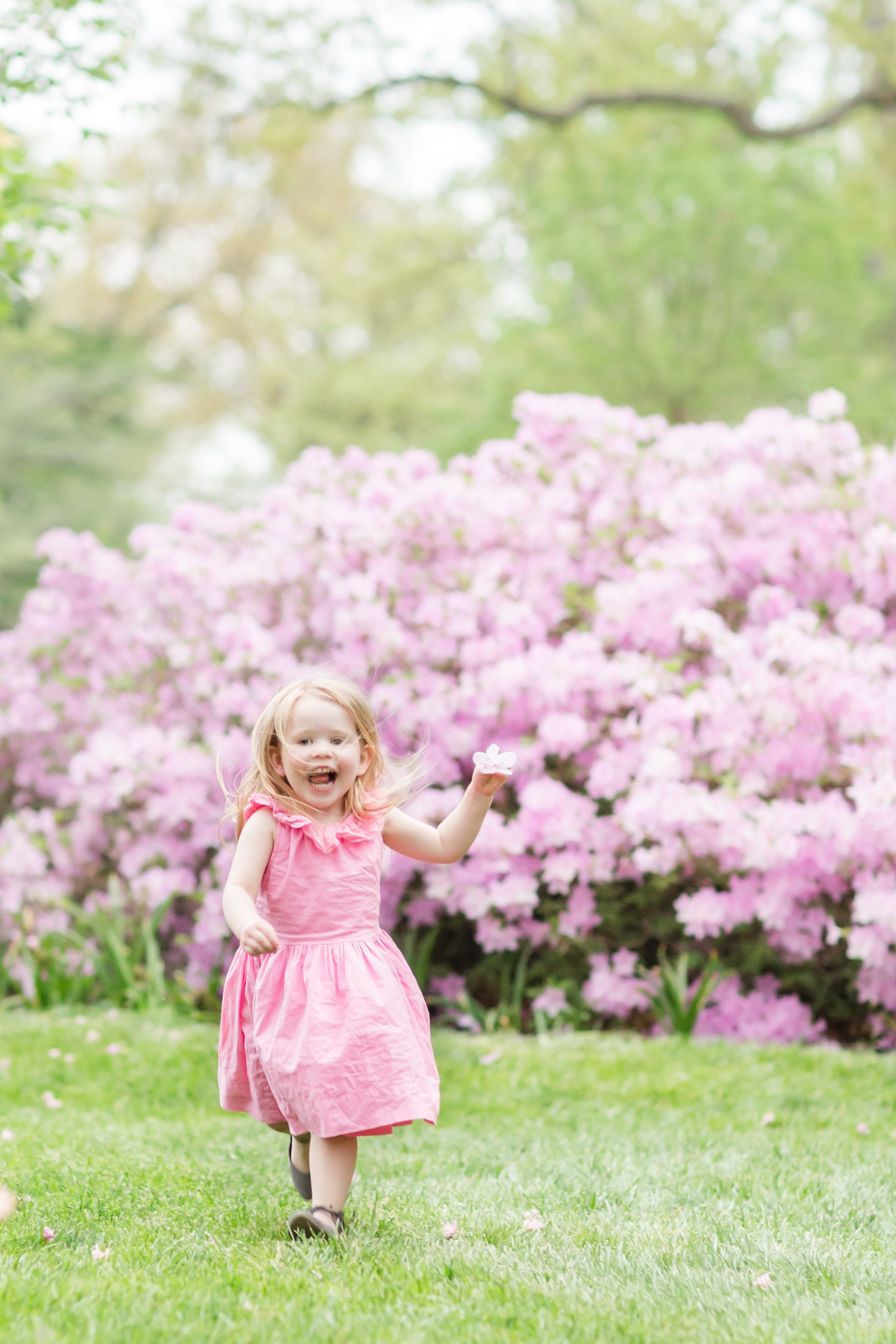  Running to pick flowers for everyone! 