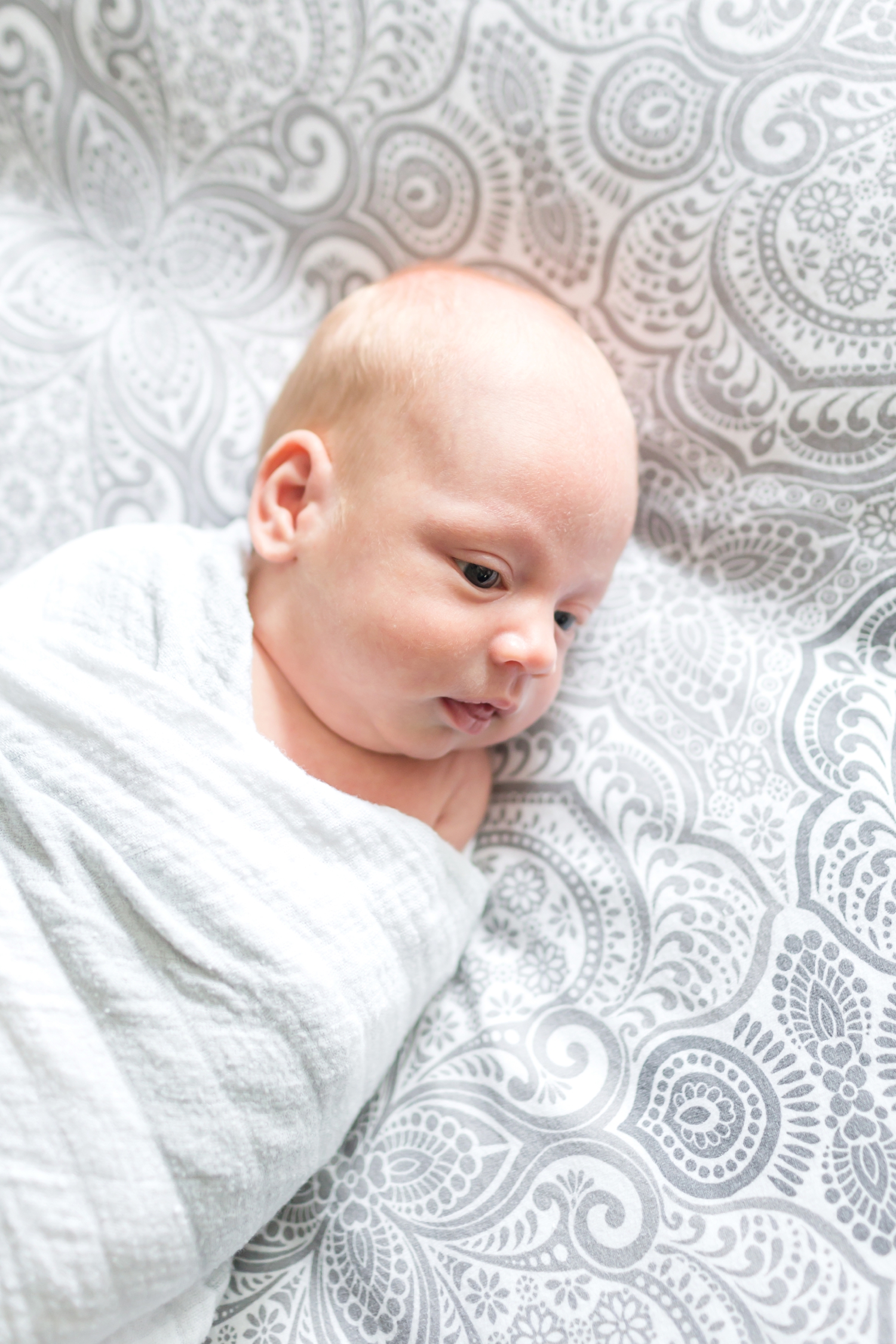 Staulters Newborn-131_maryland-newborn-photographer-anna-grace-photography-photo.jpg