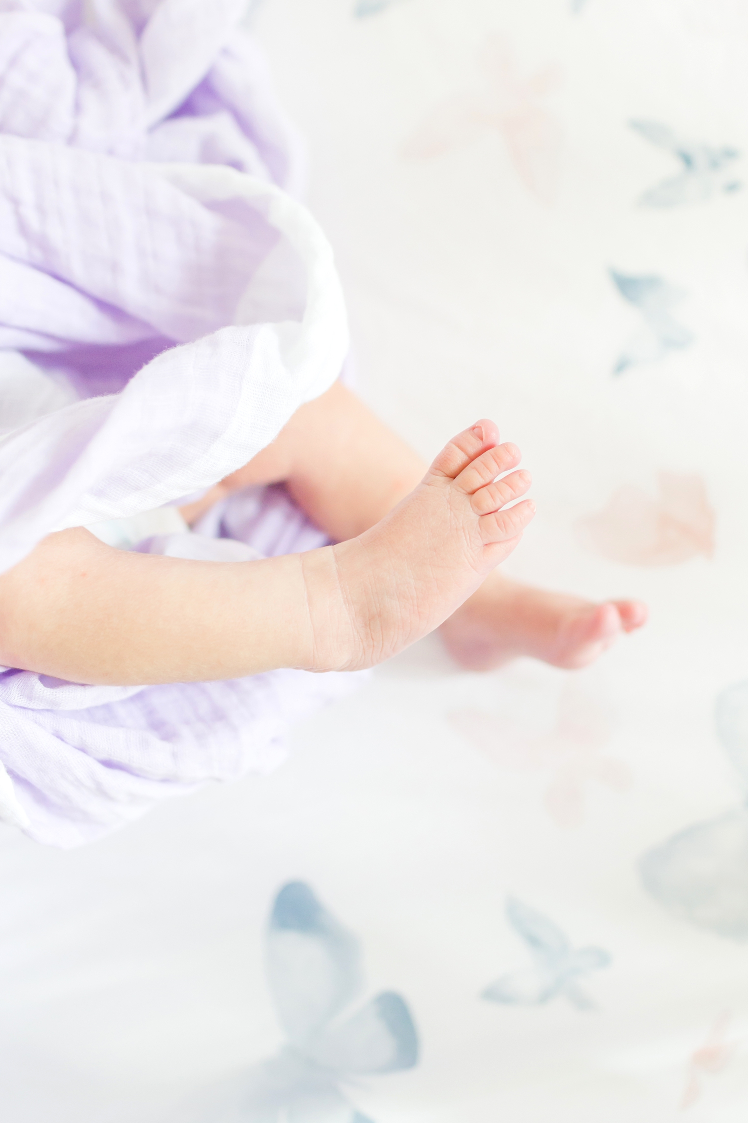 Baby Claire-315_Maryland-Virginia-newborn-family-photographer-anna-grace-photography-photo.jpg