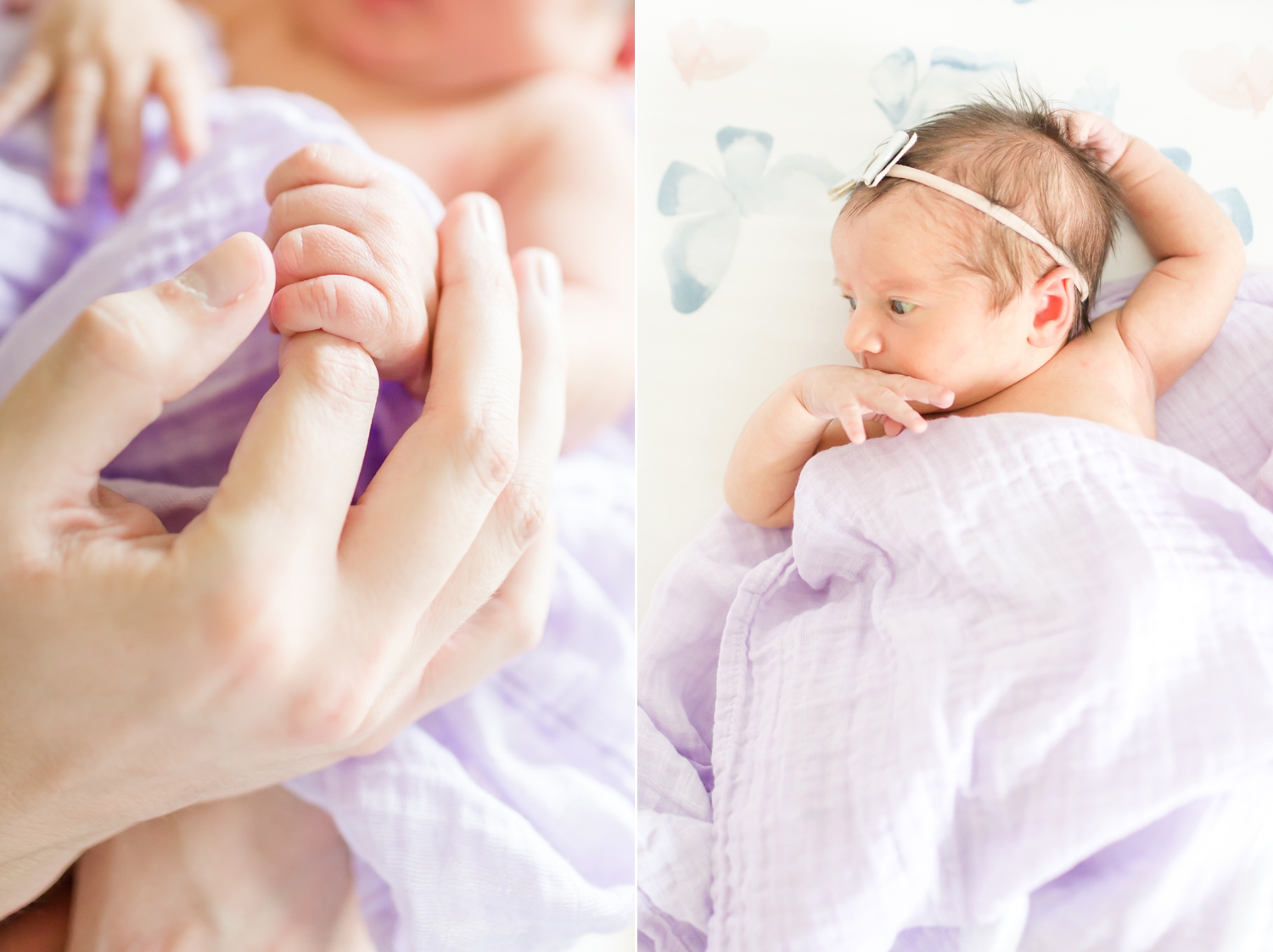Baby Claire-327_Maryland-Virginia-newborn-family-photographer-anna-grace-photography-photo.jpg