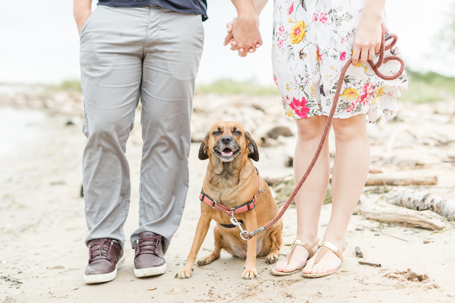 Kirsten & Dan Engagement-111_Maryland-Virginia-engagement-Photographer-anna-grace-photography-photo.jpg