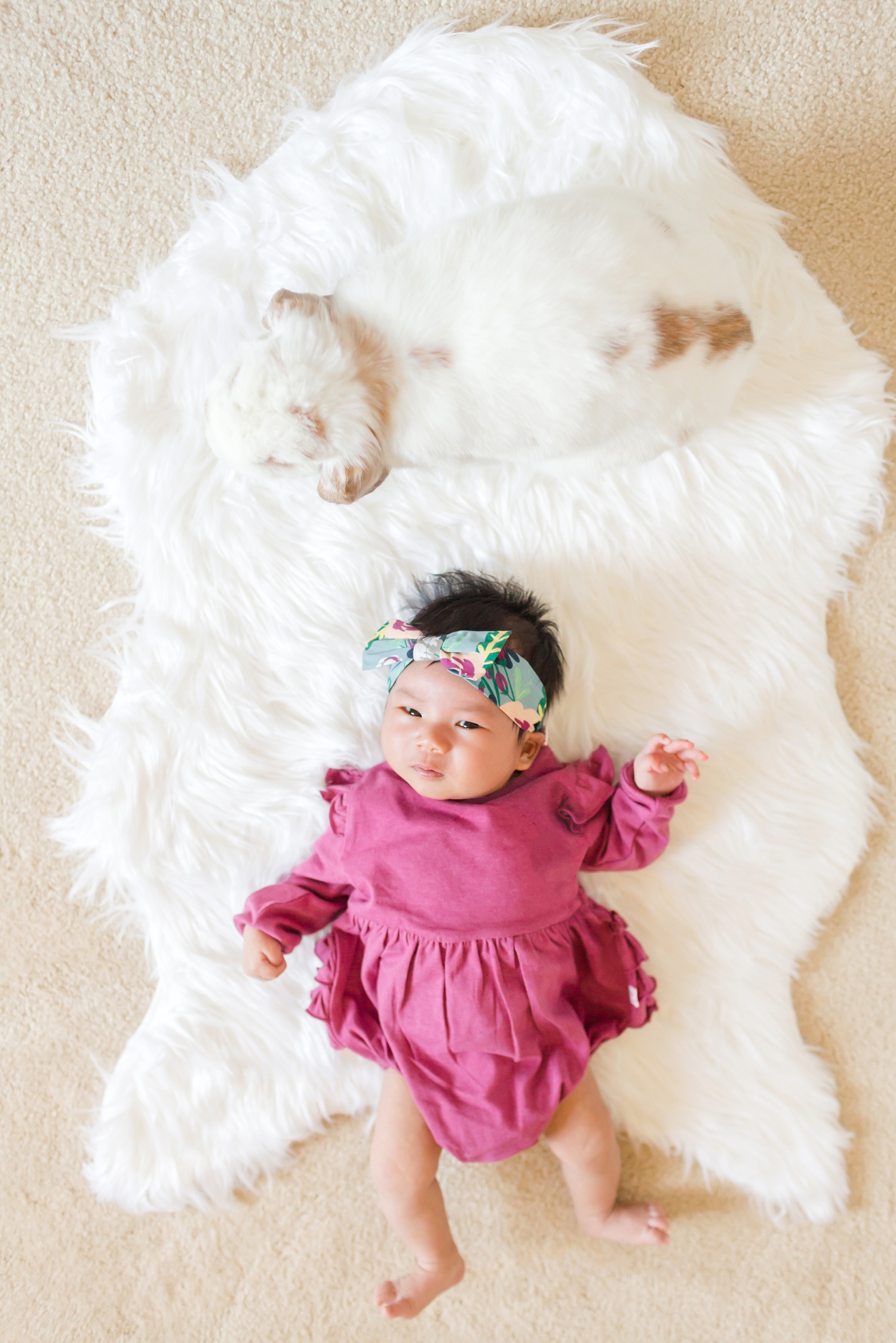  See more from   baby Chloe’s newborn session here  ! 