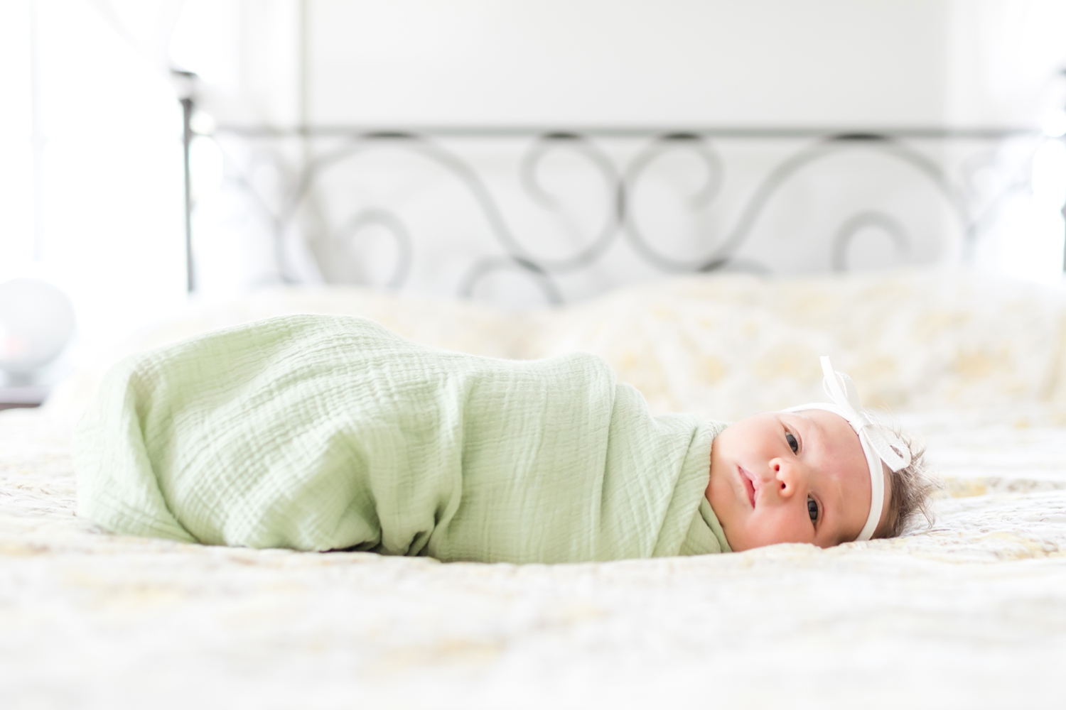 Hazel Newborn 2019-63_Baltimore-Maryland-newborn-family-photographer-anna-grace-photography-photo.jpg