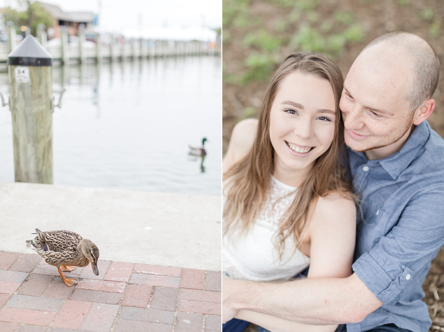 Gina & Steven Engagement-1_Annapolis-engagement-photography-Quiet-Waters-Park-Maryland-engagement-photographer-anna-grace-photography-photo.jpg