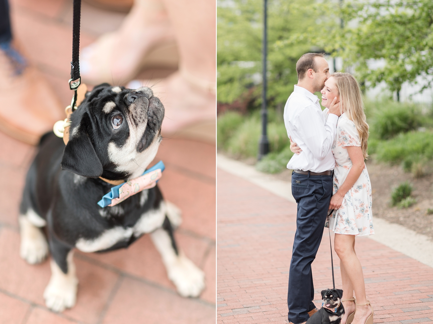 Maddy and Lloyd Engagement-15_Baltimore-Maryland-engagement-photography-Sherwood-Gardens-Maryland-engagement-photographer-anna-grace-photography-photo.jpg