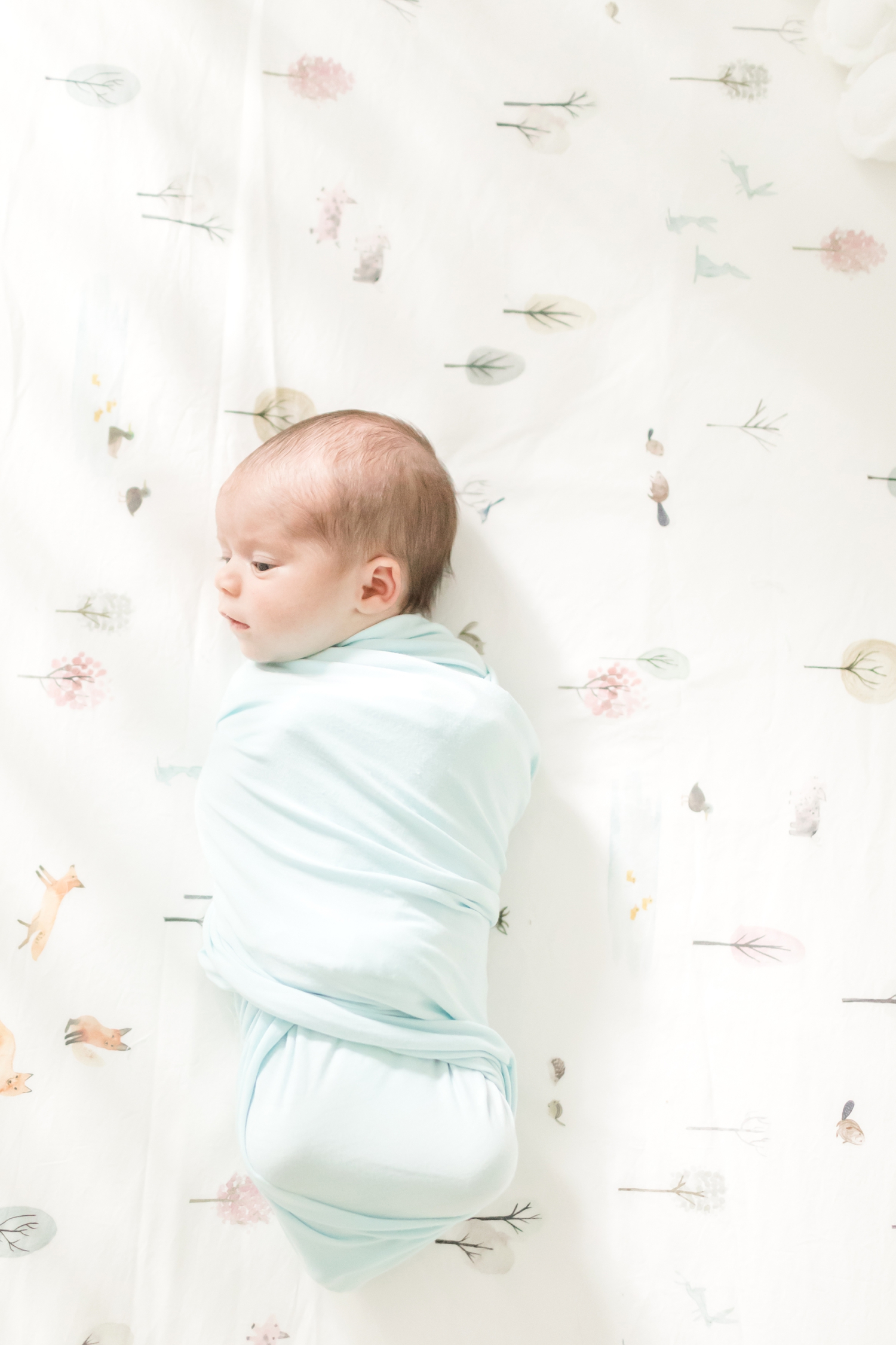 Foster Newborn-75_Maryland-Virginia-Newborn-photographer-anna-grace-photography-photo.jpg