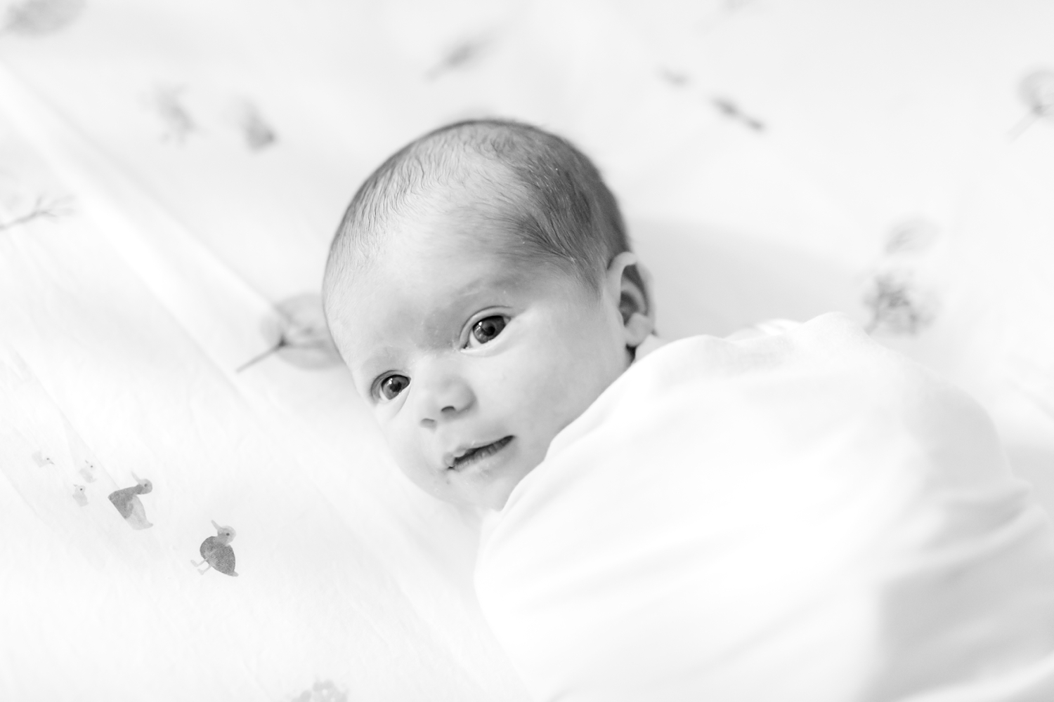 Foster Newborn-77_Maryland-Virginia-Newborn-photographer-anna-grace-photography-photo.jpg