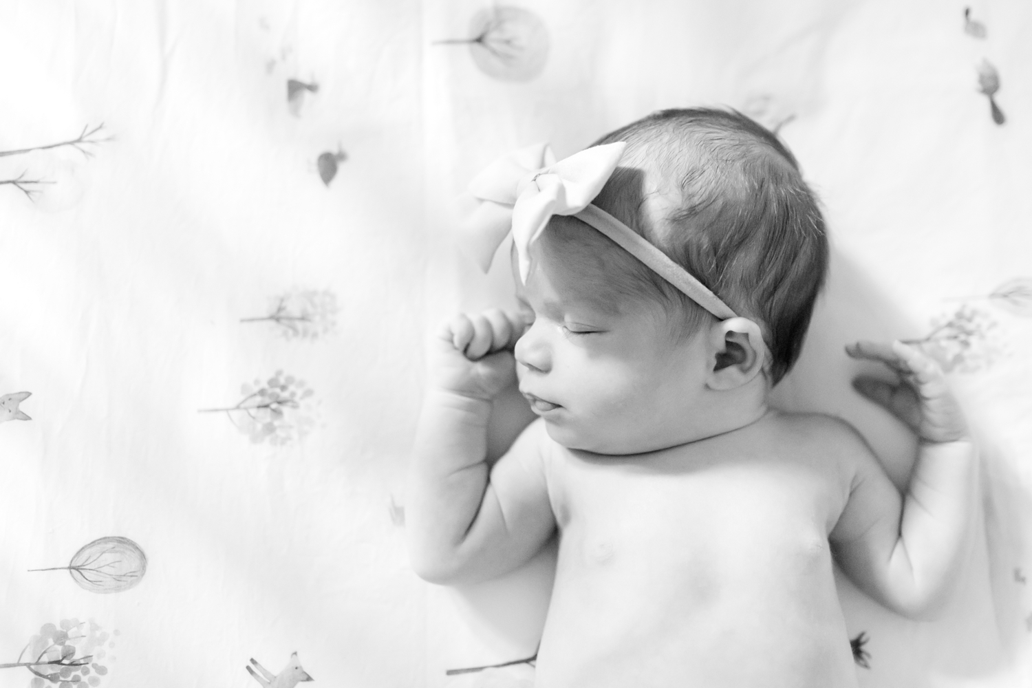 Foster Newborn-165_Maryland-Virginia-Newborn-photographer-anna-grace-photography-photo.jpg