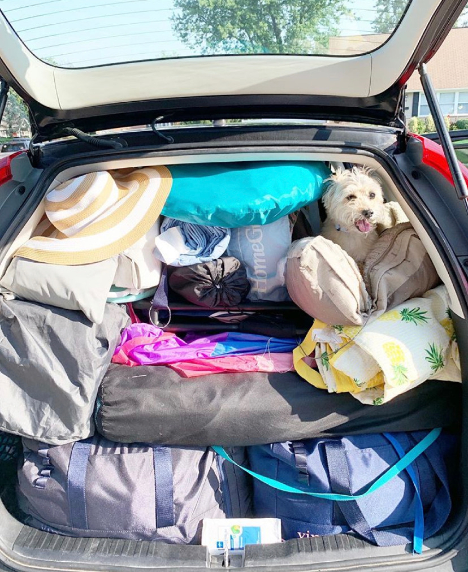  We somehow fit it all with the pup!  