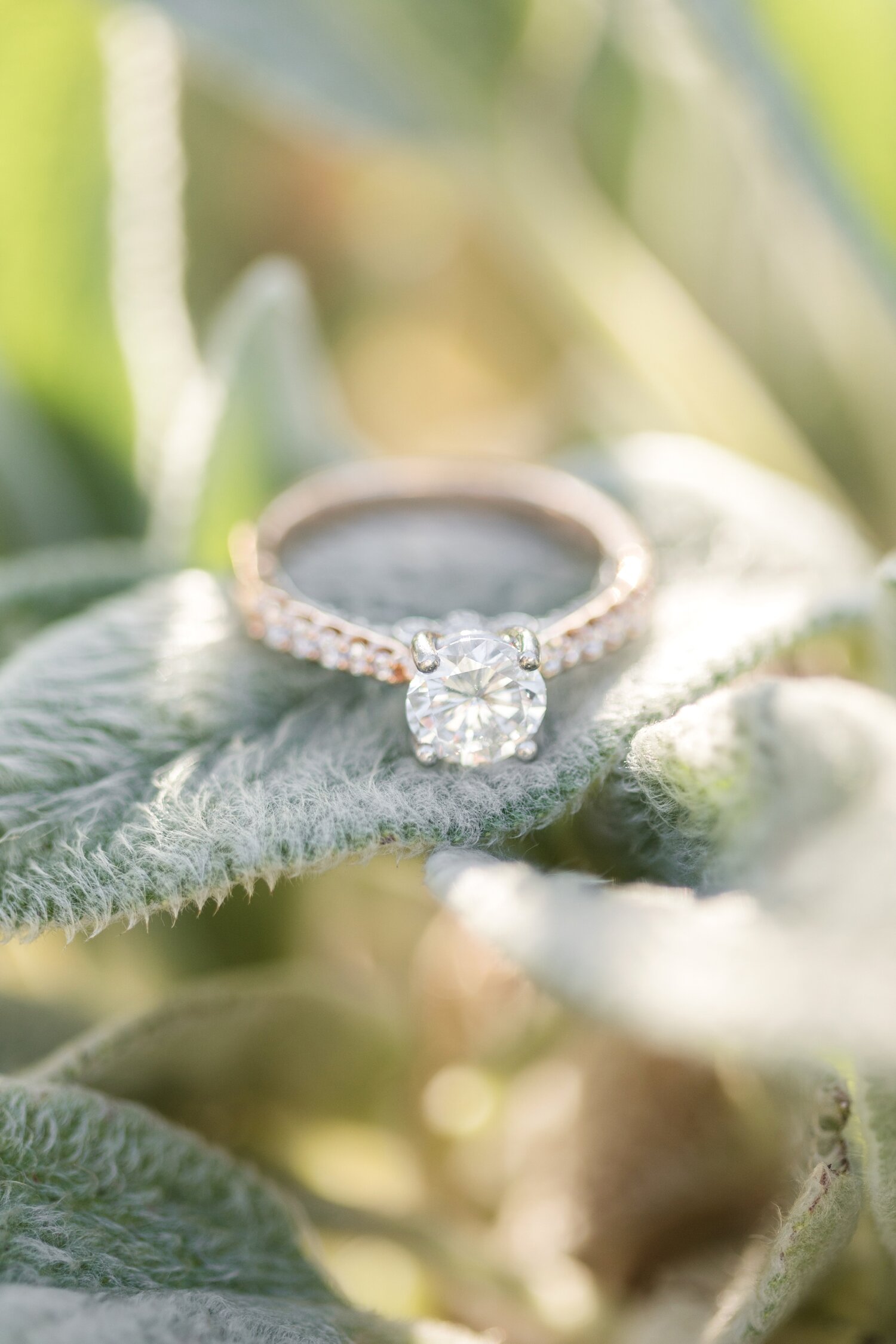  Beautiful heirloom ring!  