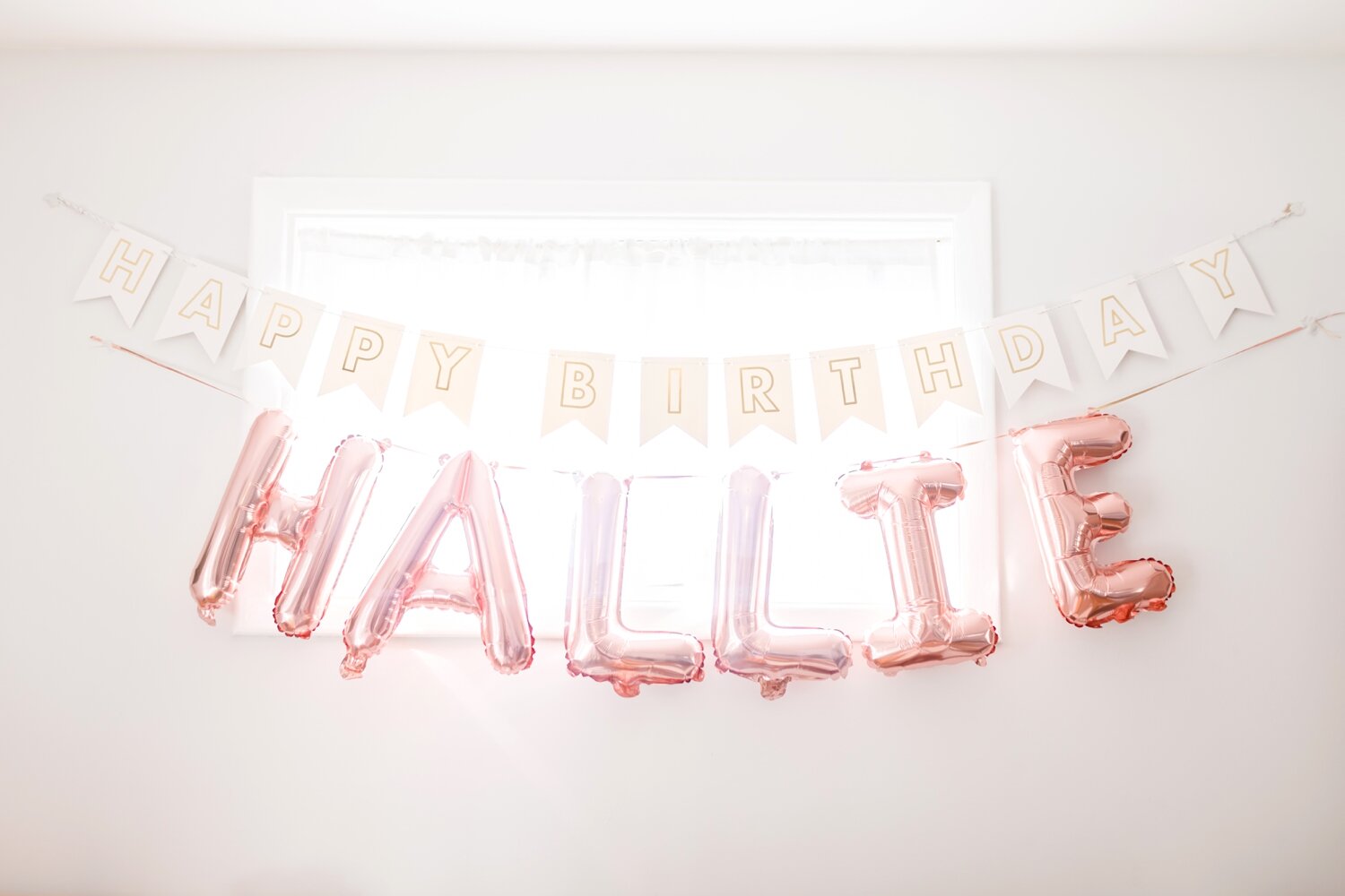 Hallie's 1st Birthday-15_First-Birthday-Palm-photographer-anna-grace-photography-photo.jpg