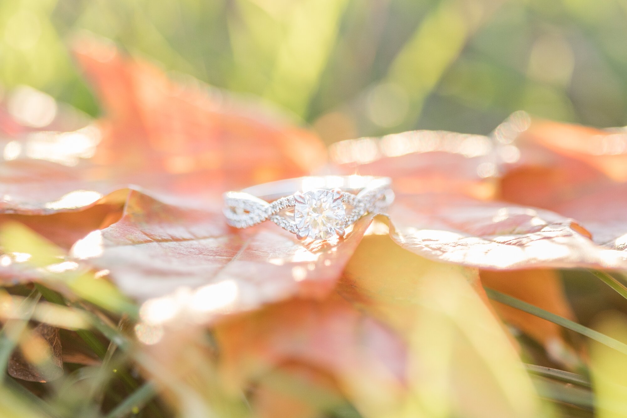 Krissa & Nadav Engagement-102_Maryland-Engagement-Photographer-anna-grace-photography.jpg