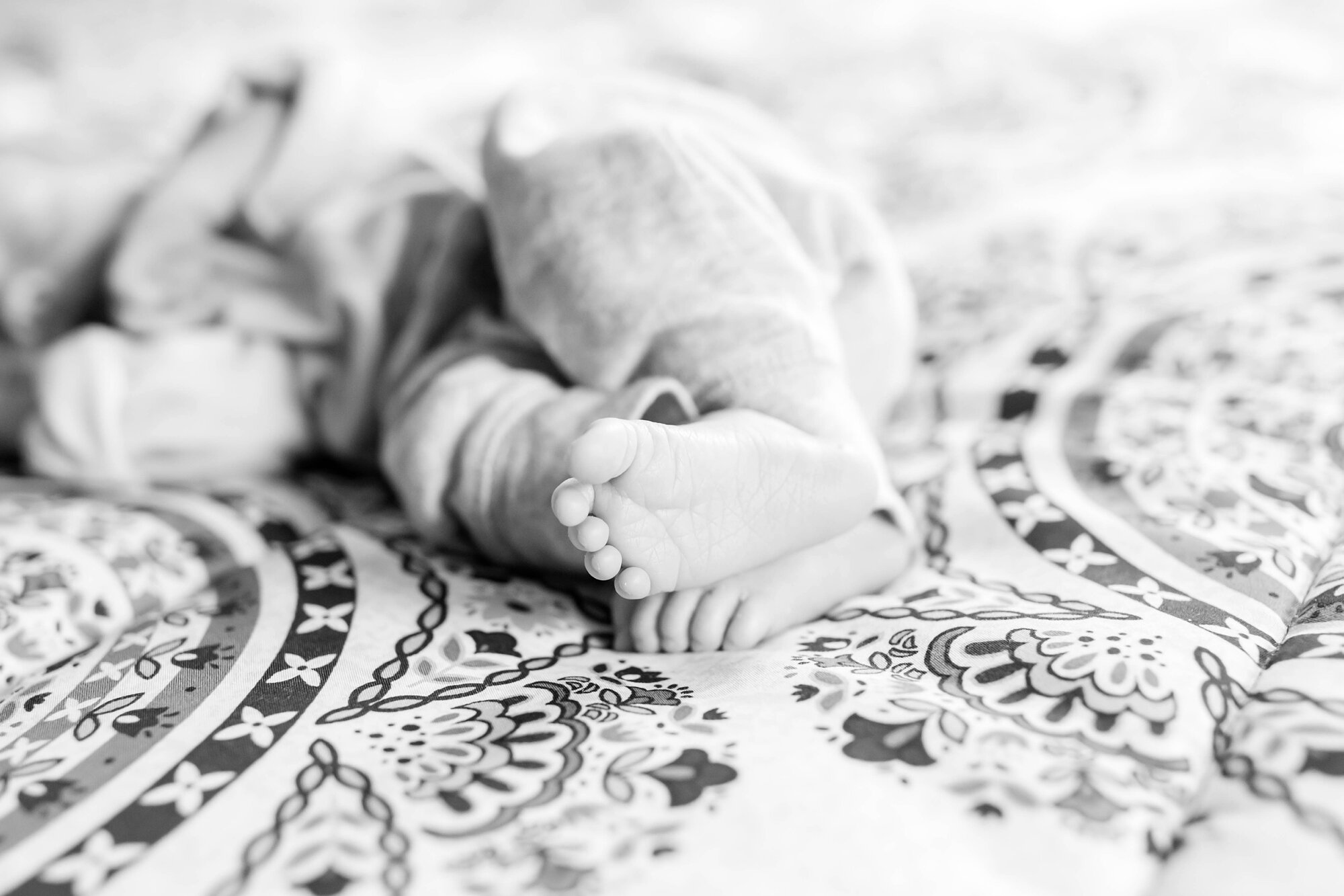 Mroz Newborn-72_Maryland-Newborn-Photographer-anna-grace-photography.jpg