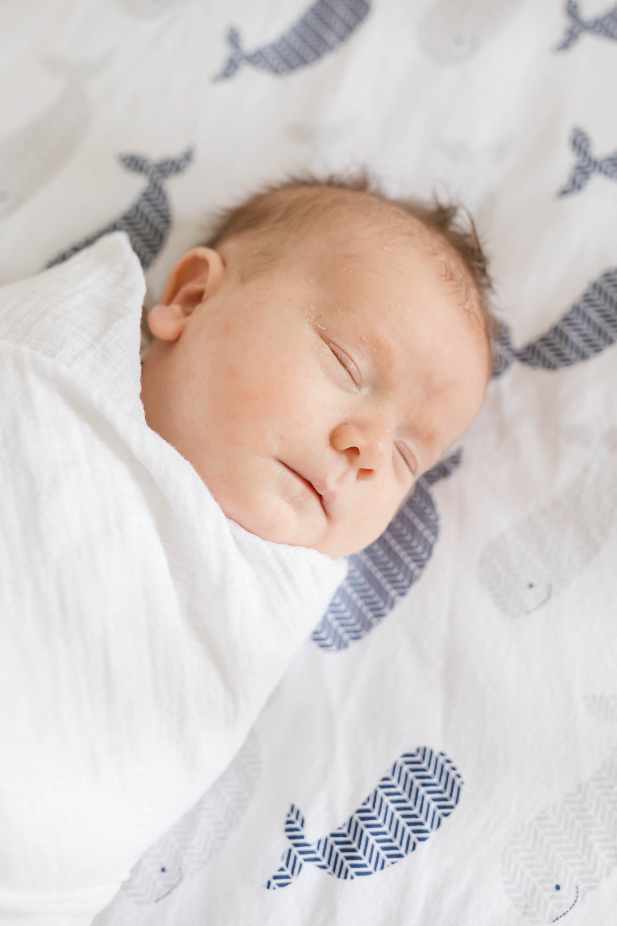 Arpasi Newborn 2019-119_Maryland-Newborn-Photographer-anna-grace-photography.jpg