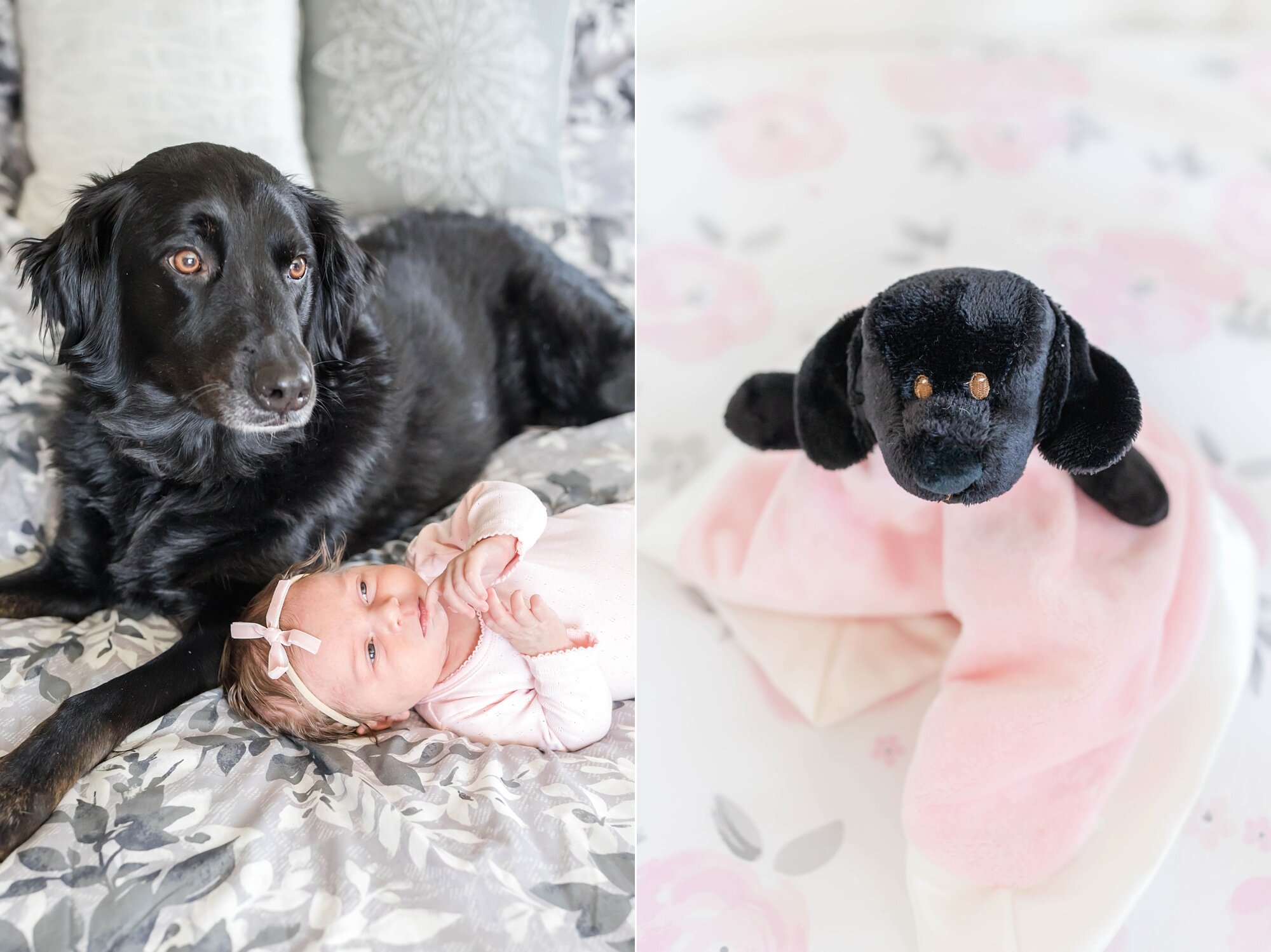  How cute is this lovey to match their pup! 