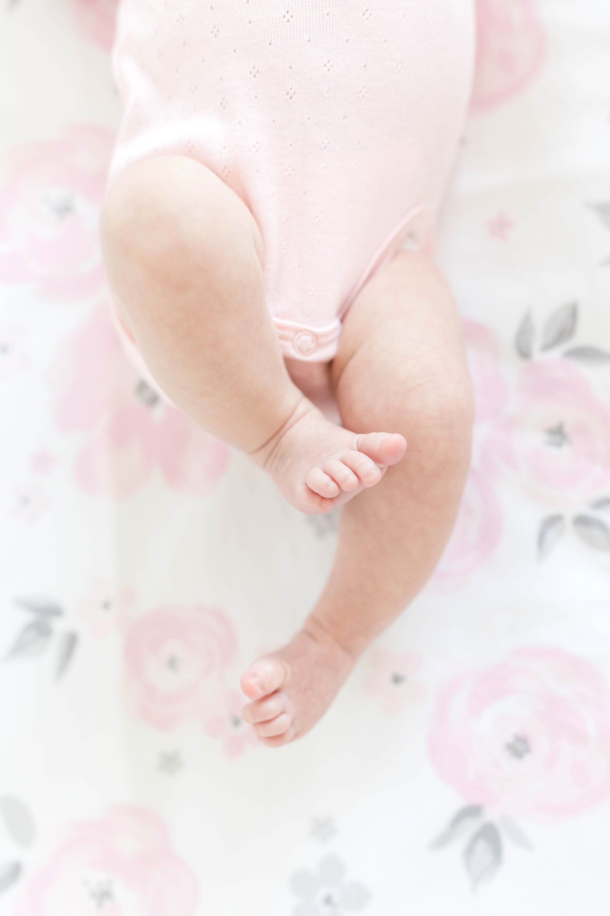 Cerreta Newborn-142_Maryland-Virginia-Newborn-Photographer-anna-grace-photography.jpg