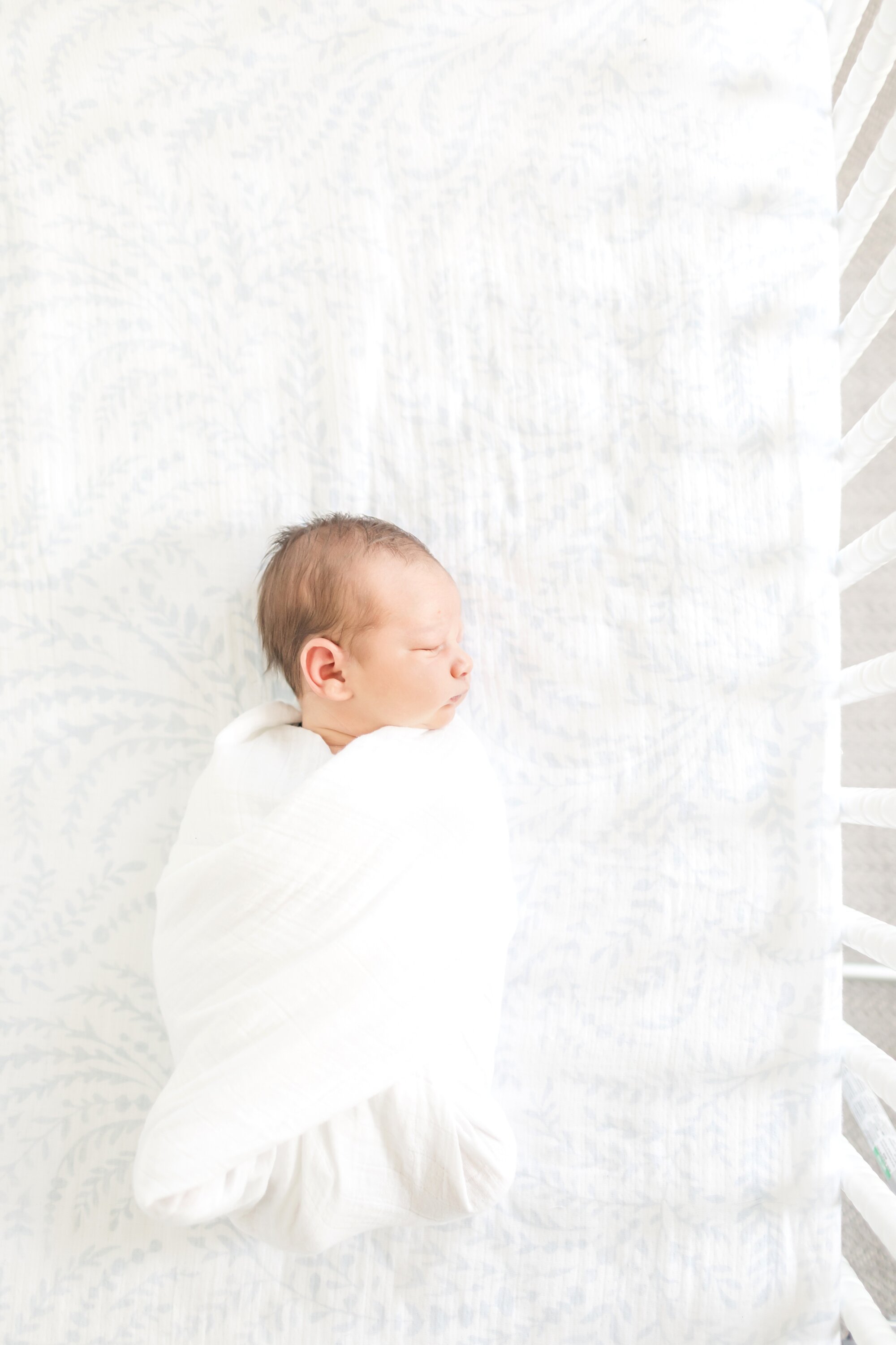 Webster Newborn-32_Maryland-Virginia-Newborn-Photographer-anna-grace-photography.jpg