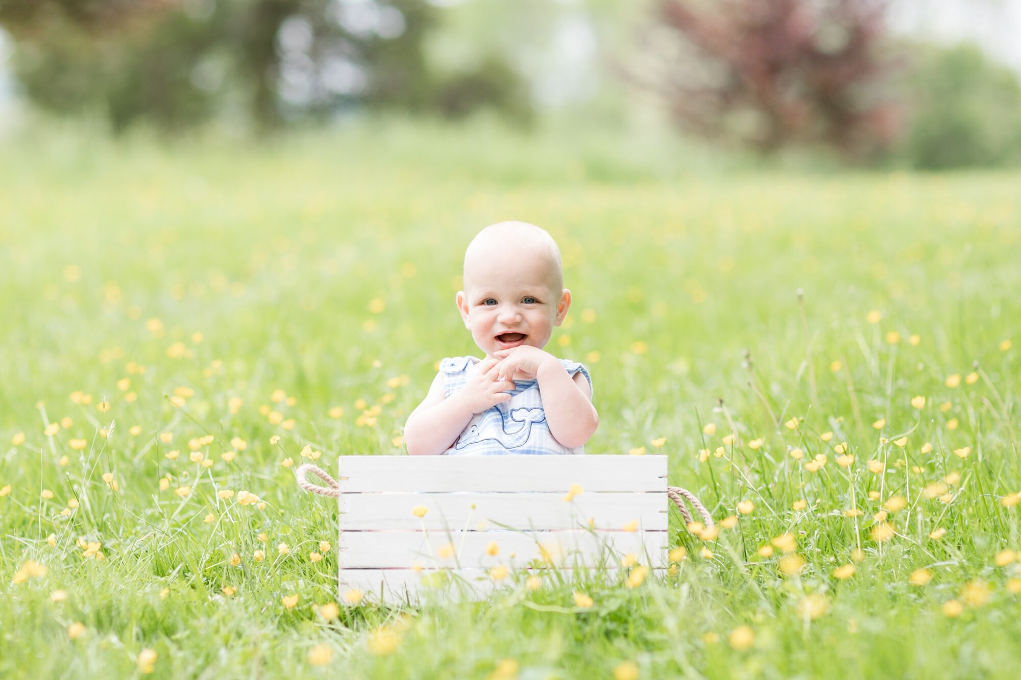 Steele First Birthday-79_Maryland--Virginia-Family-Photographer-anna-grace-photography.jpg