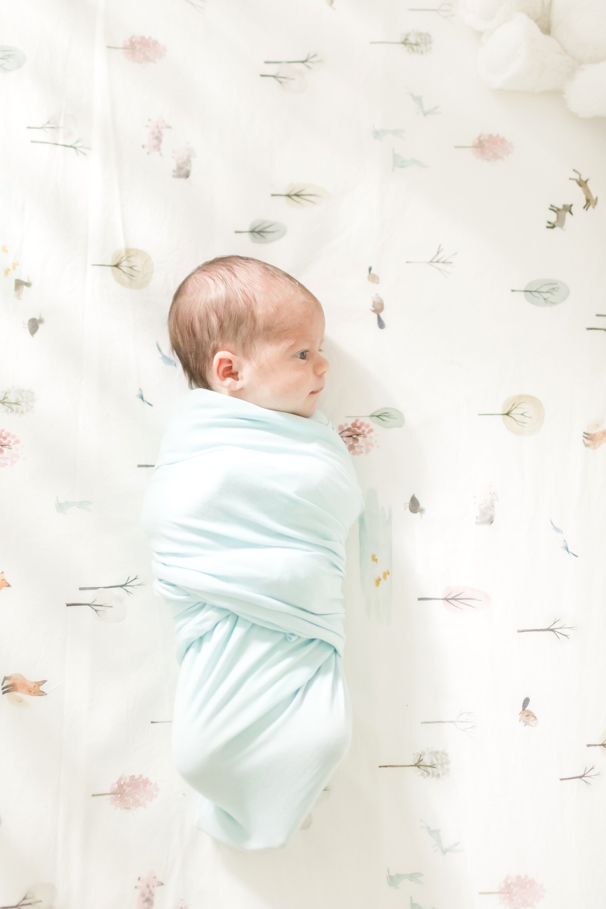 Foster Newborn-73_Maryland-Virginia-Newborn-Maternity-Photographer-anna-grace-photography.jpg