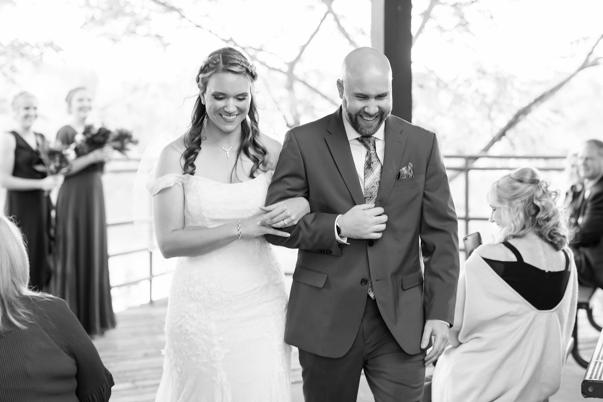 Allie & Cory Wedding-217_Maryland-wedding-Centennial-Park-photographer-anna-grace-photography.jpg