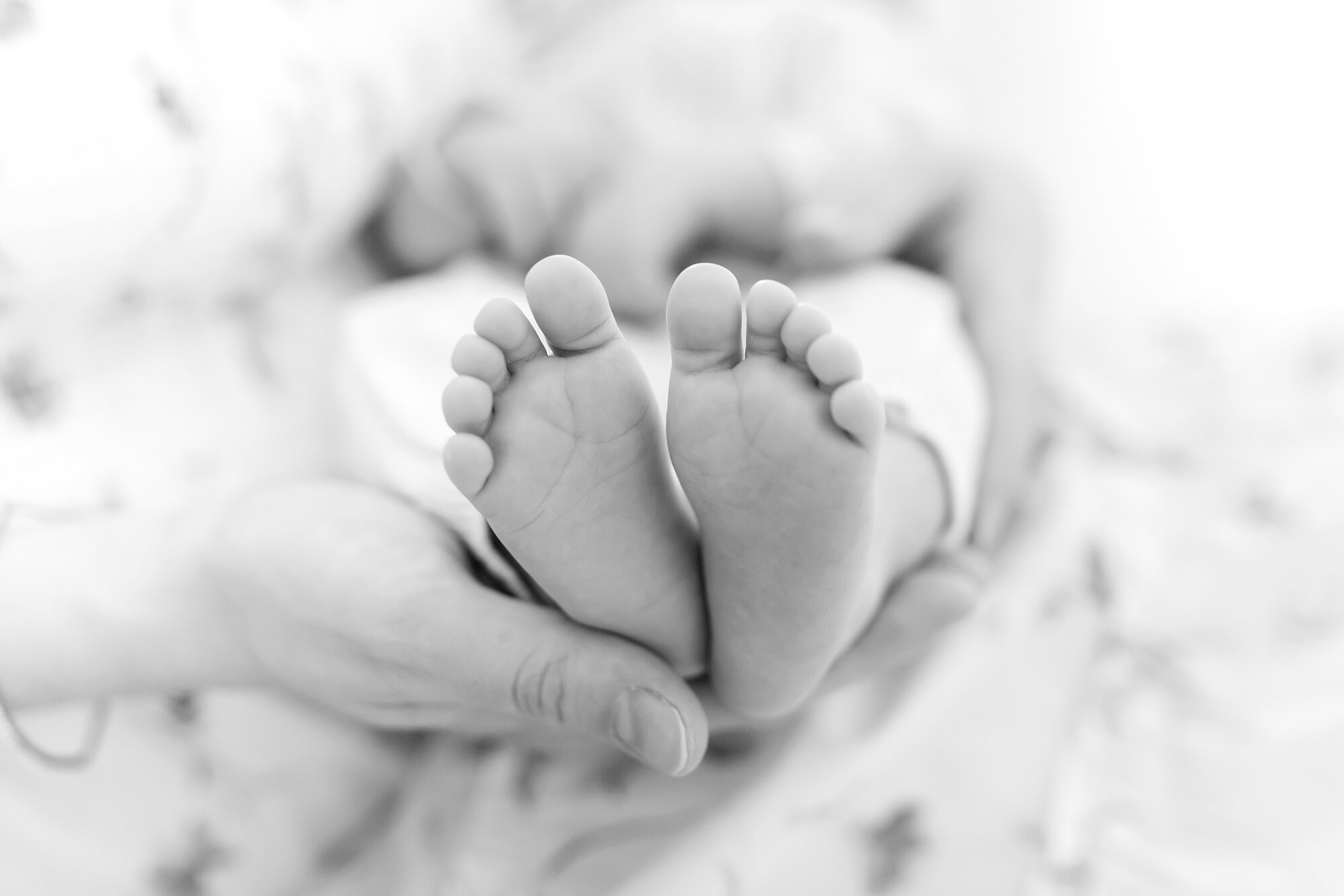 Simpson Newborn-126_Maryland-newborn-family-photographer-anna-grace-photography.jpg