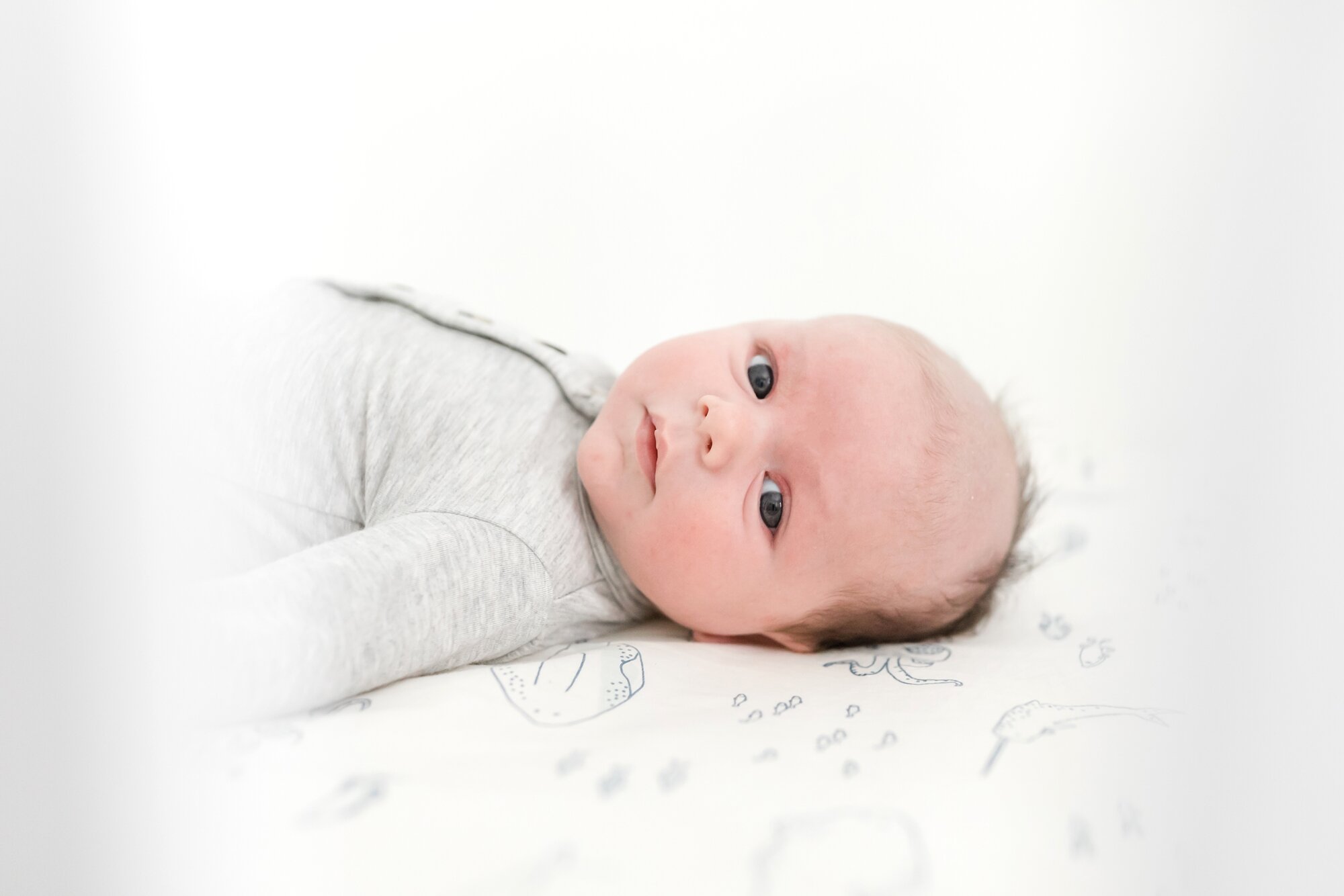 Boushell Newborn-55_Maryland-newborn-photographer-anna-grace-photography.jpg