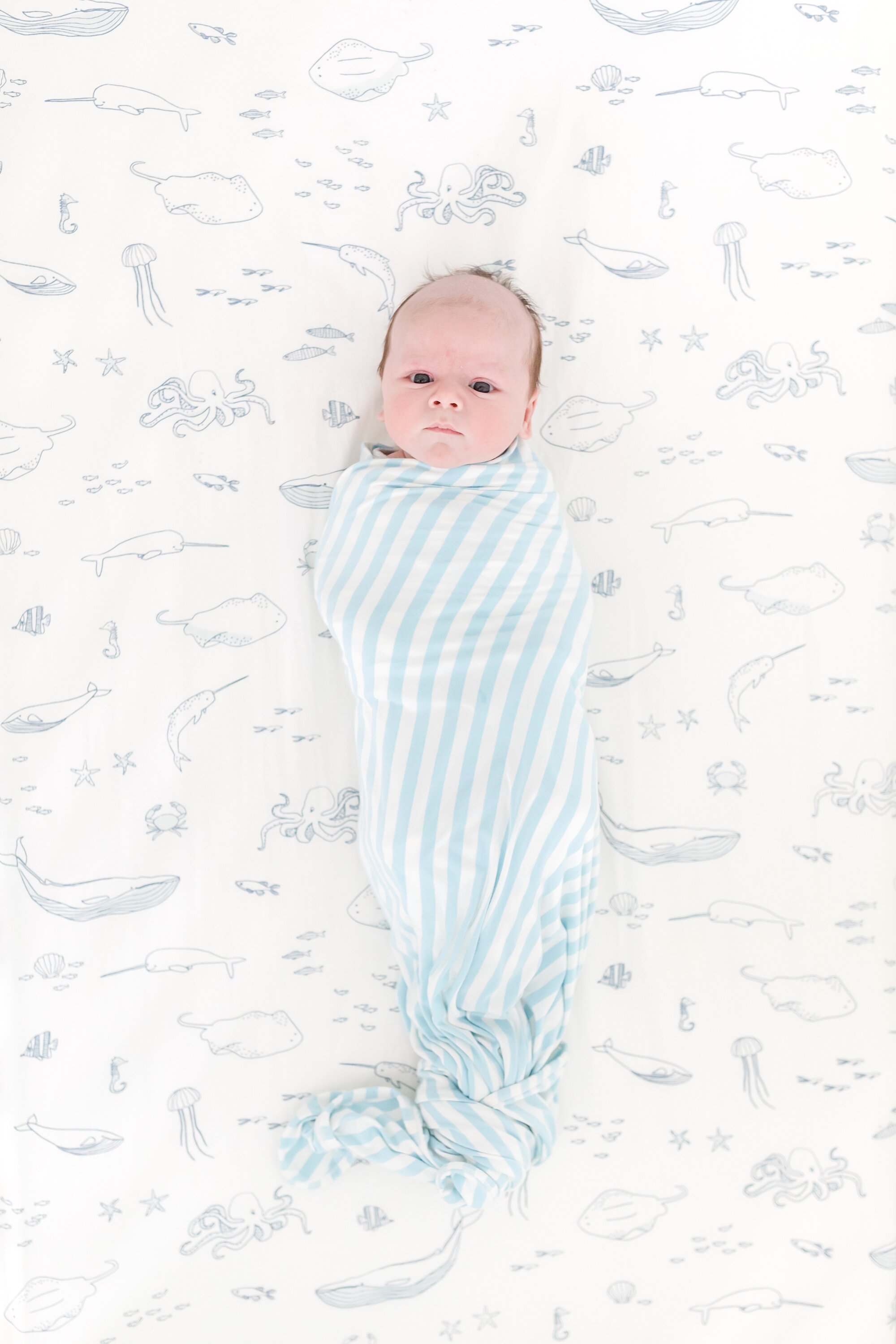 Boushell Newborn-103_Maryland-newborn-photographer-anna-grace-photography.jpg