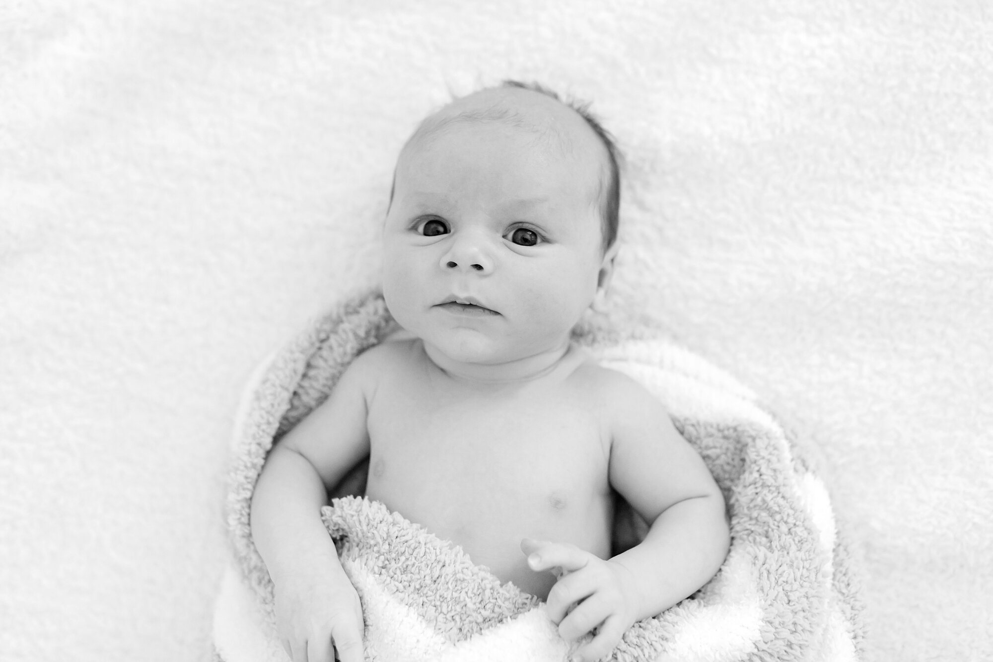Boushell Newborn-122_Maryland-newborn-photographer-anna-grace-photography.jpg