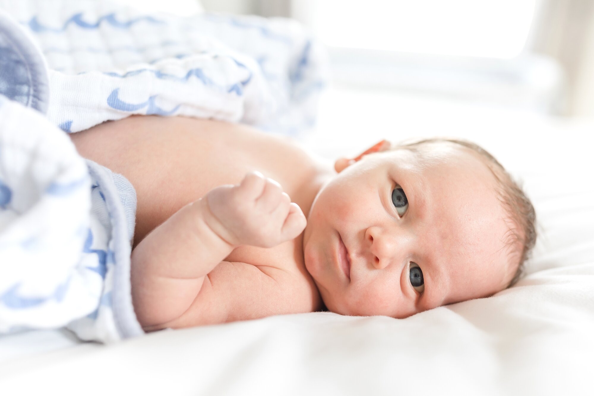 Grayson Newborn-81_Maryland-newborn-photographer-anna-grace-photography.jpg