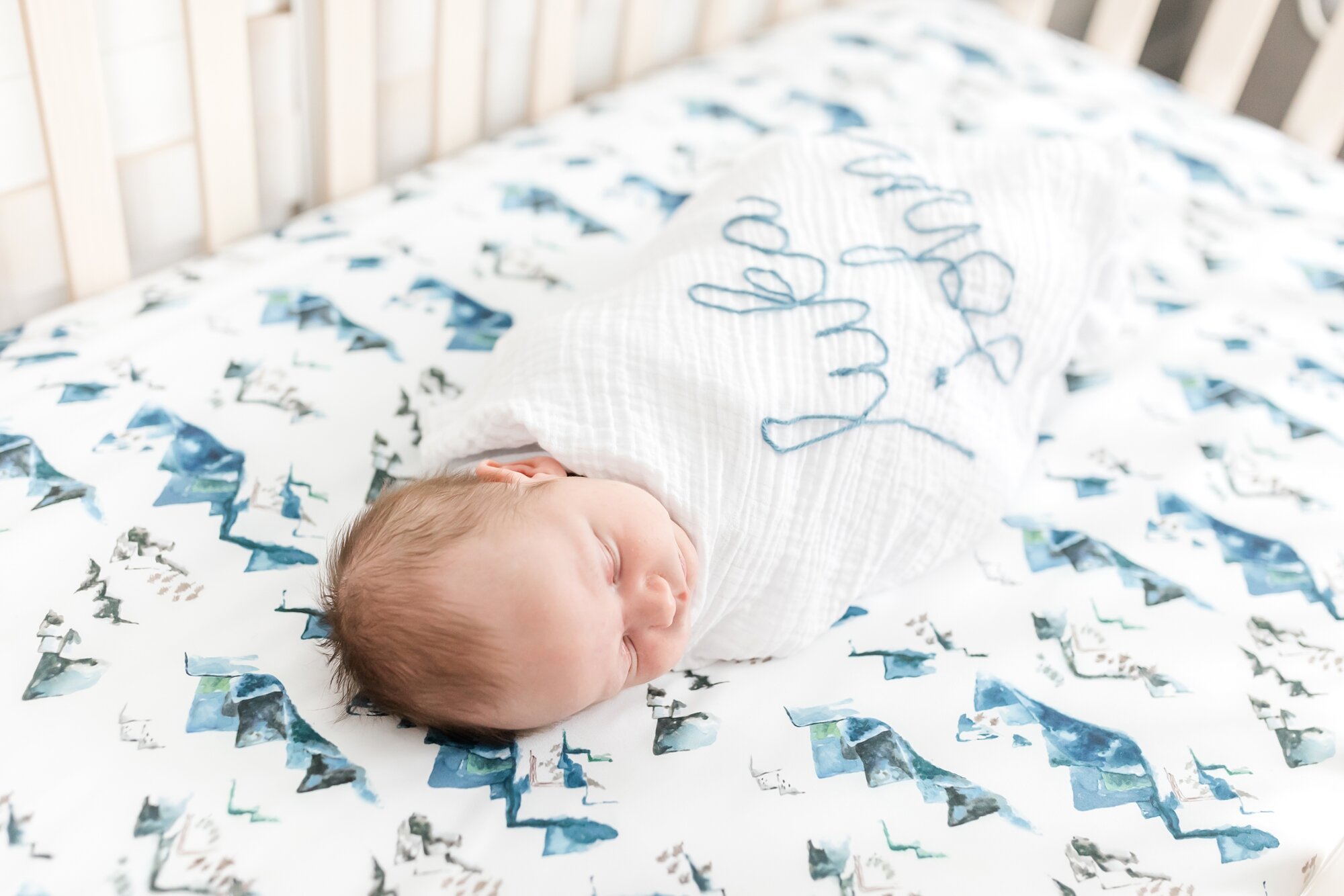 Pegg Newborn-62_Maryland-newborn-photographer-anna-grace-photography.jpg