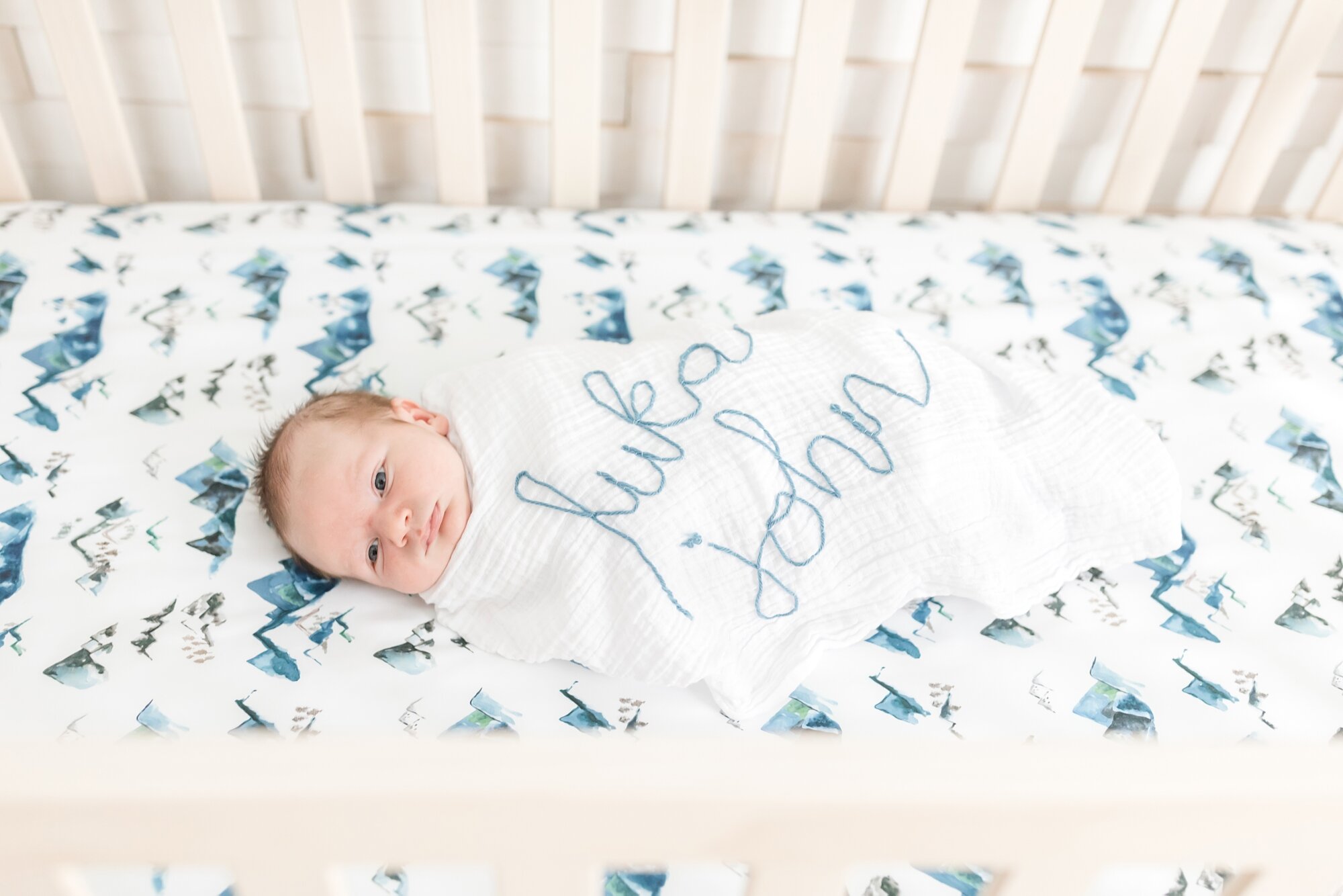 Pegg Newborn-64_Maryland-newborn-photographer-anna-grace-photography.jpg